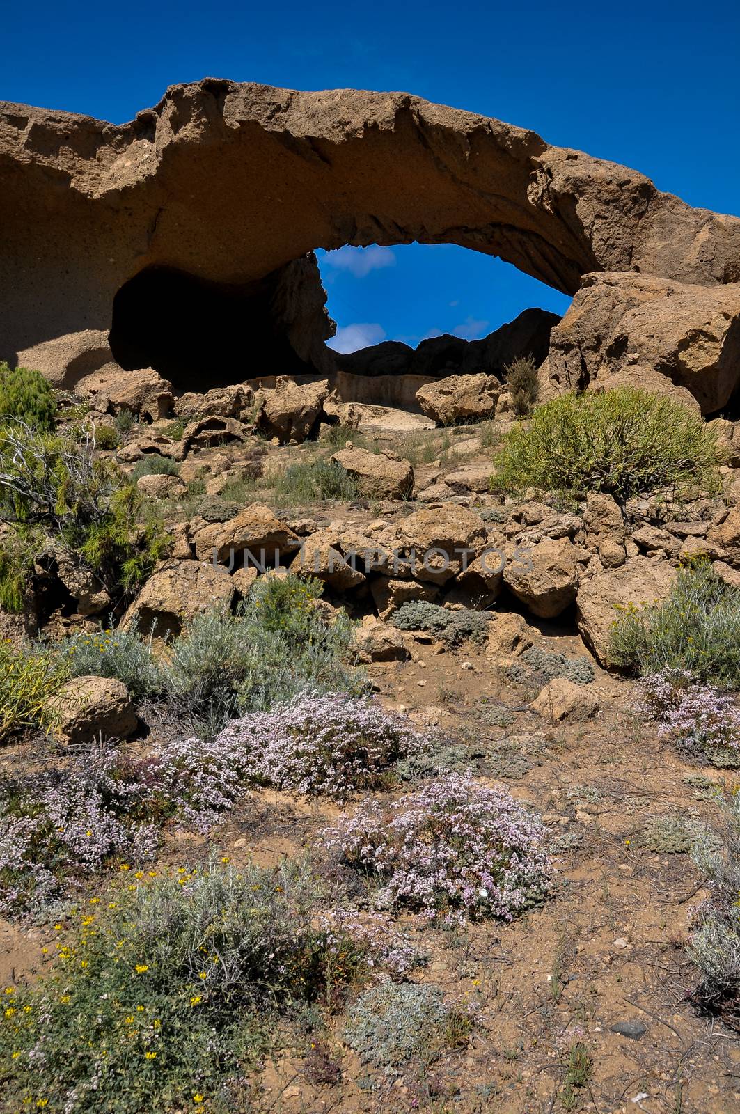 Desert landscape in Tenerife Canary Islands Spain