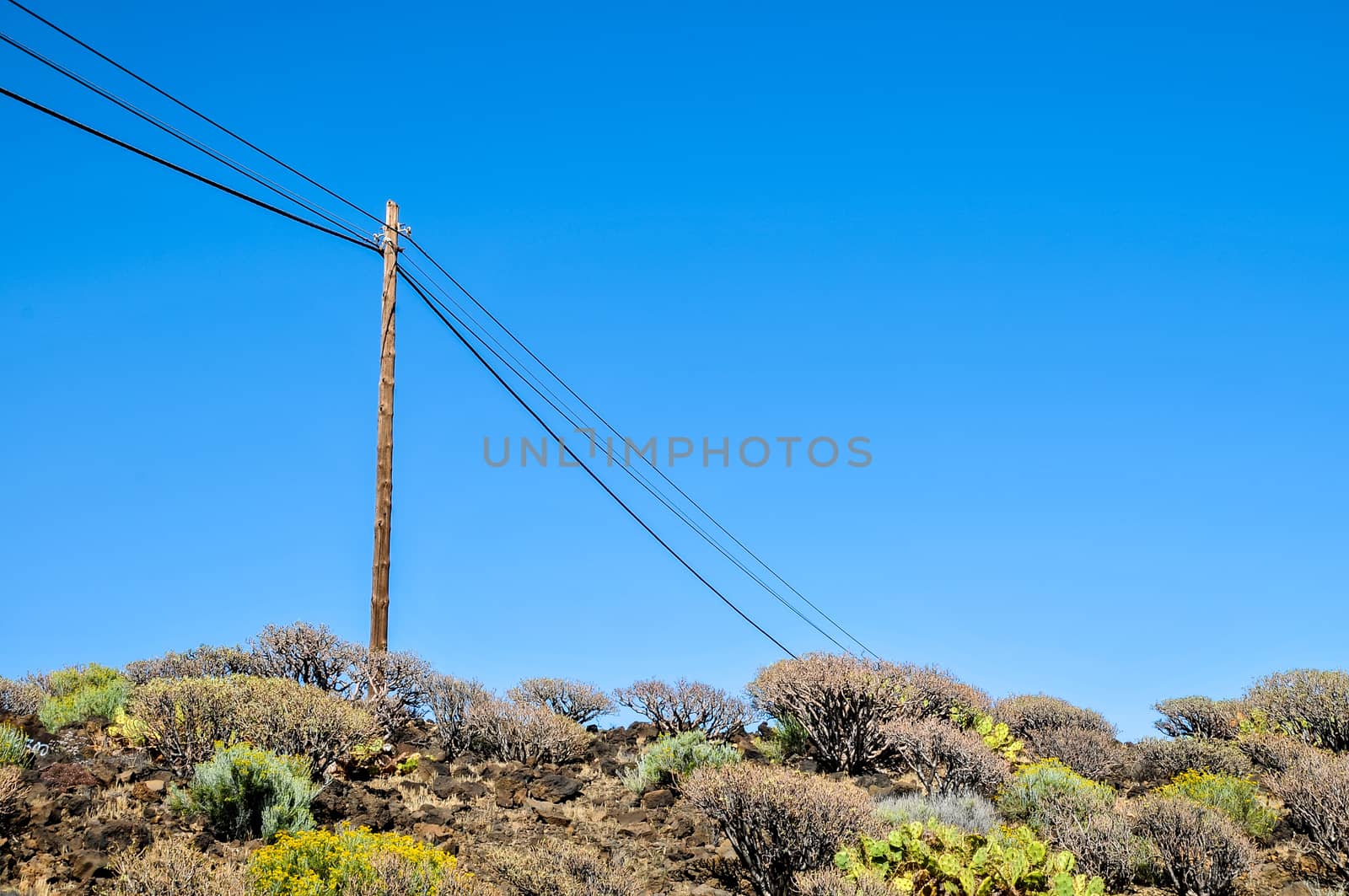 old wooden electric pole by underworld