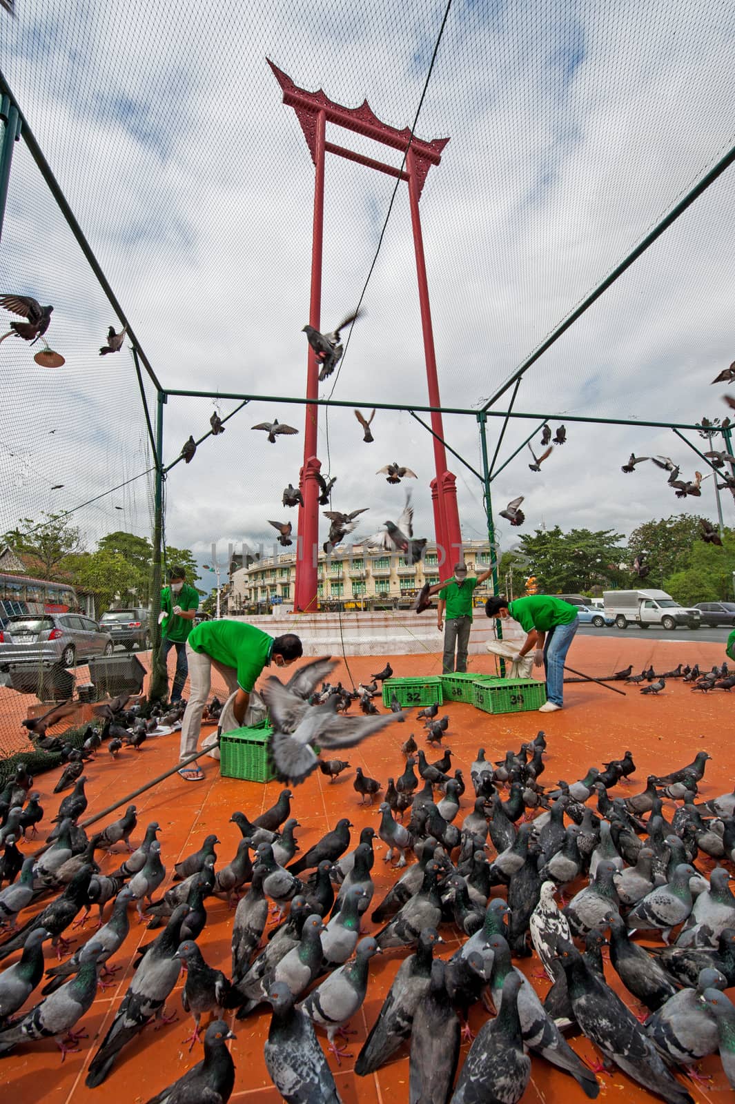 catch the Pigeons protect bird flu in Bangkok, Thailand.