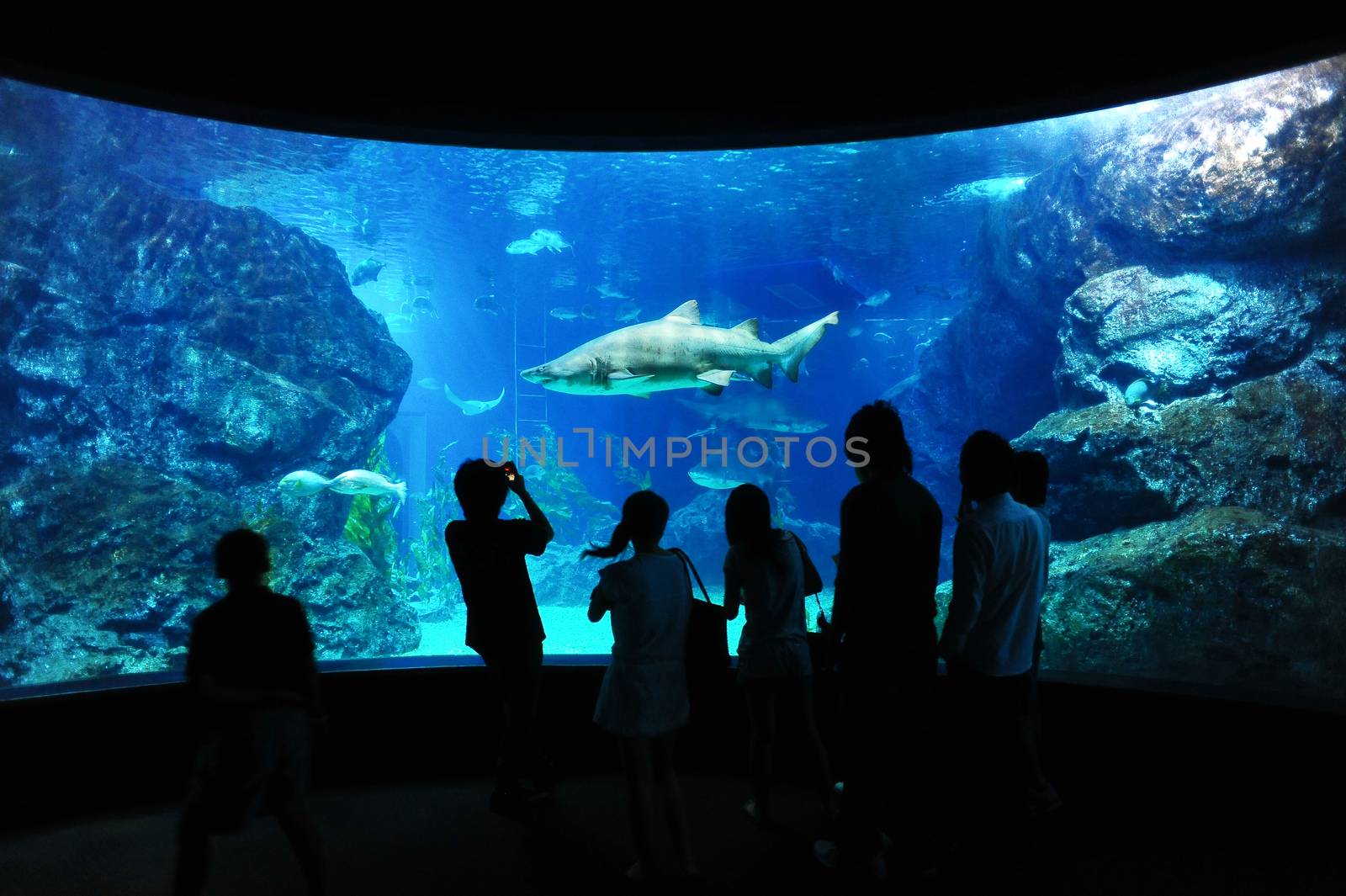 Tourist in big aquarium, Bangkok, Thailand.