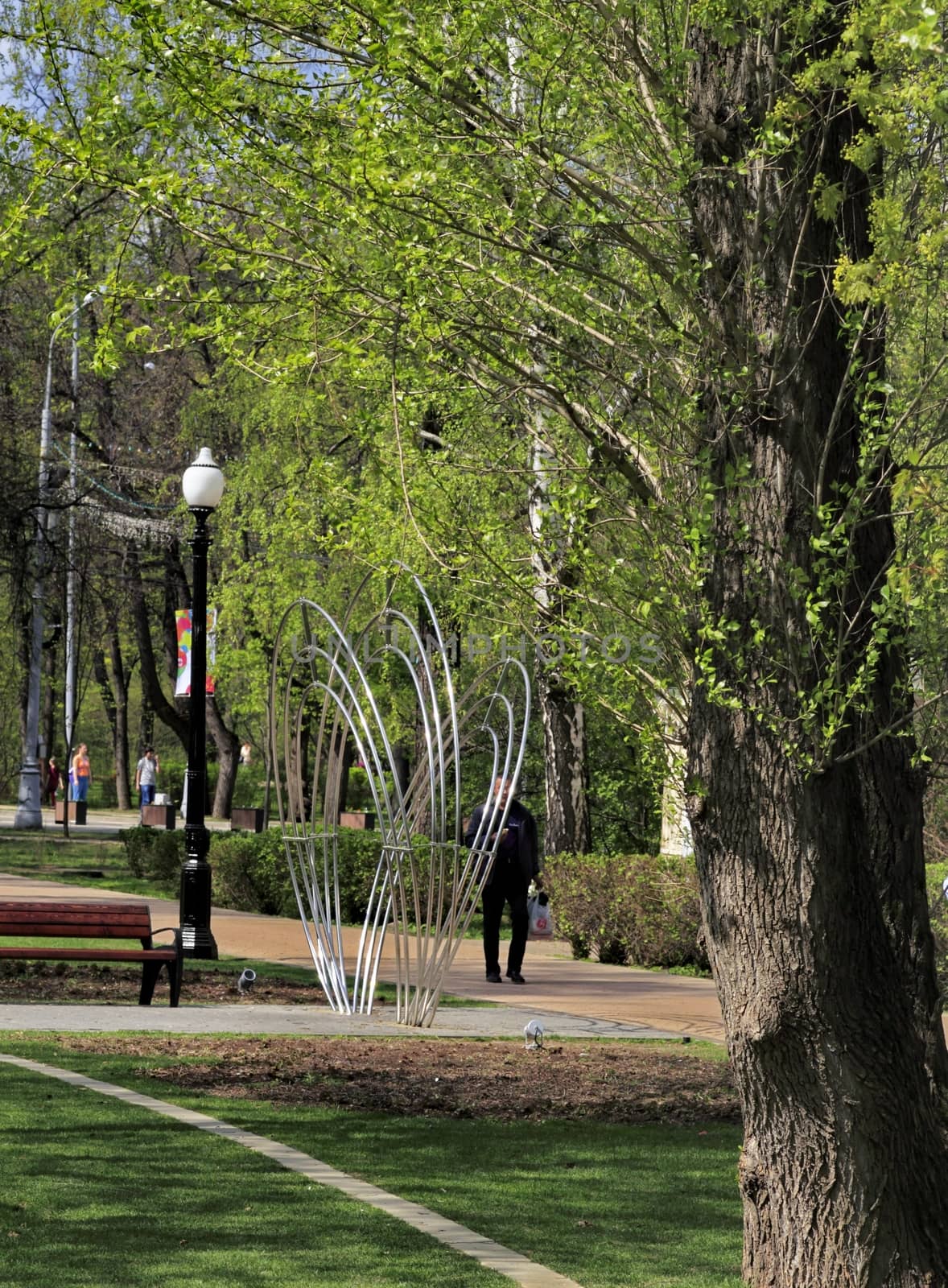 Moscow Park Sokolniki