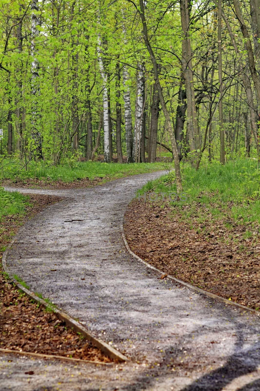 Moscow Park Sokolniki