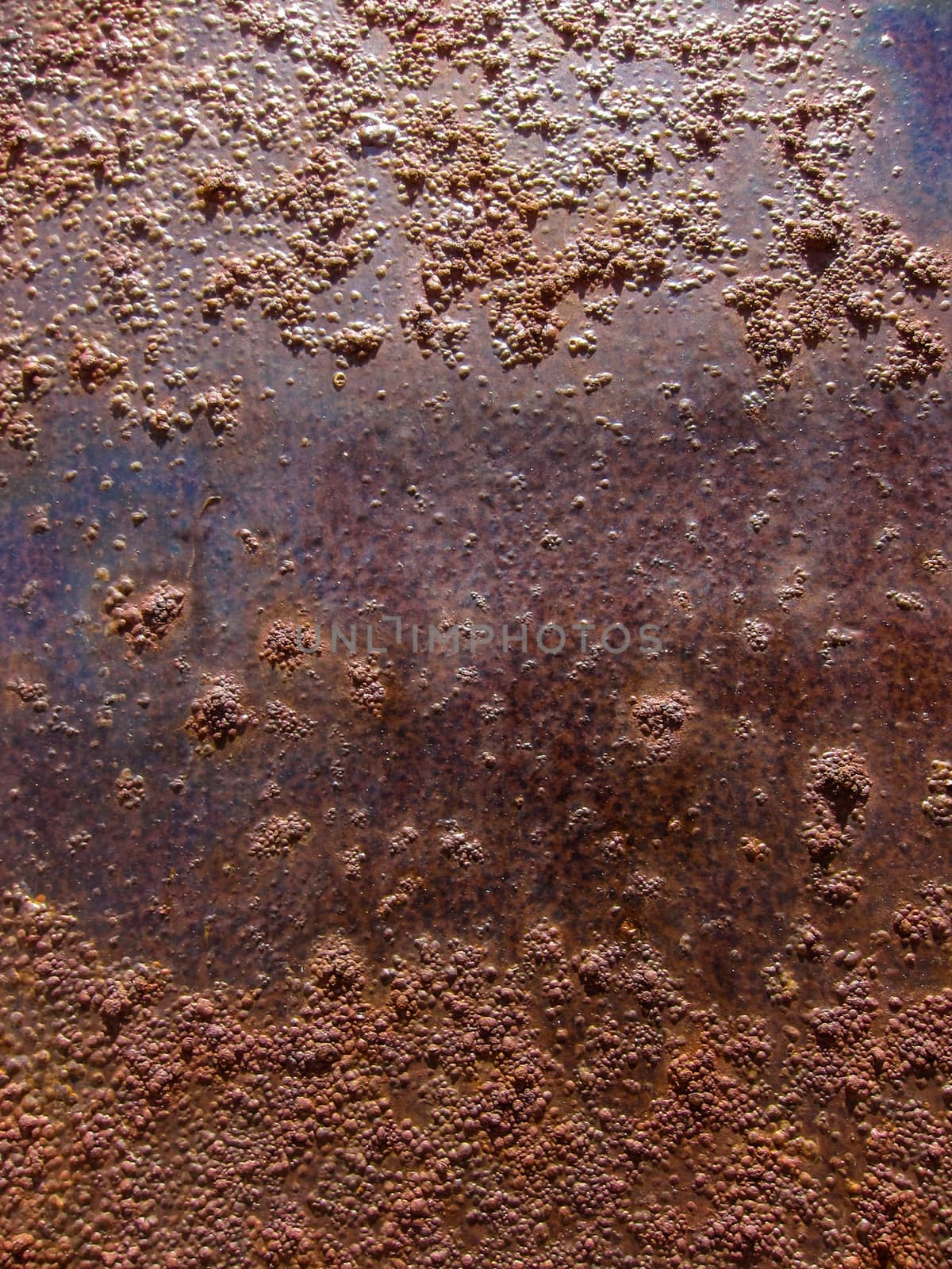 Orange Old and Rusty metal plate Texture