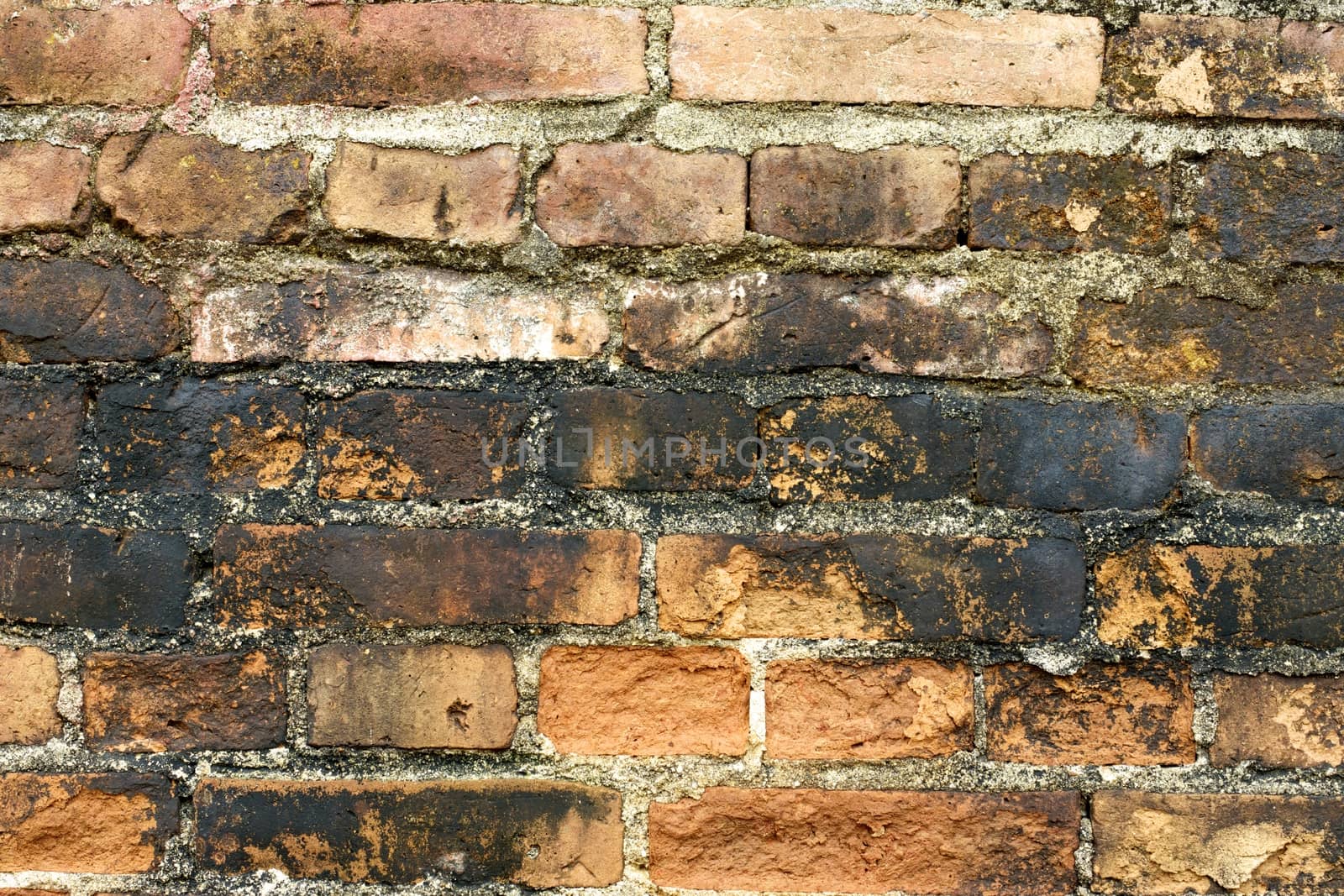 old wall detail and texture,shallow focus