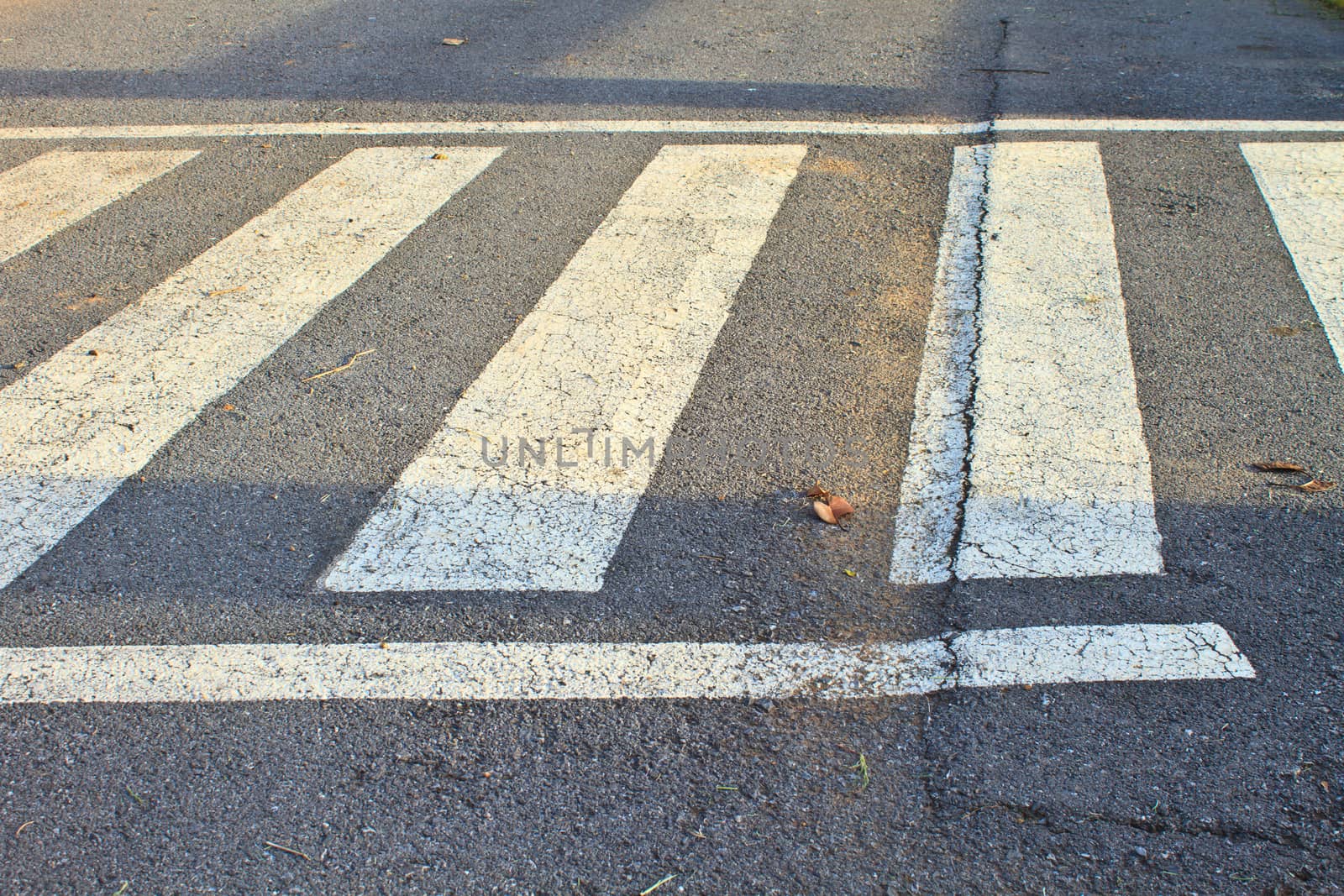 Crosswalk In the evening