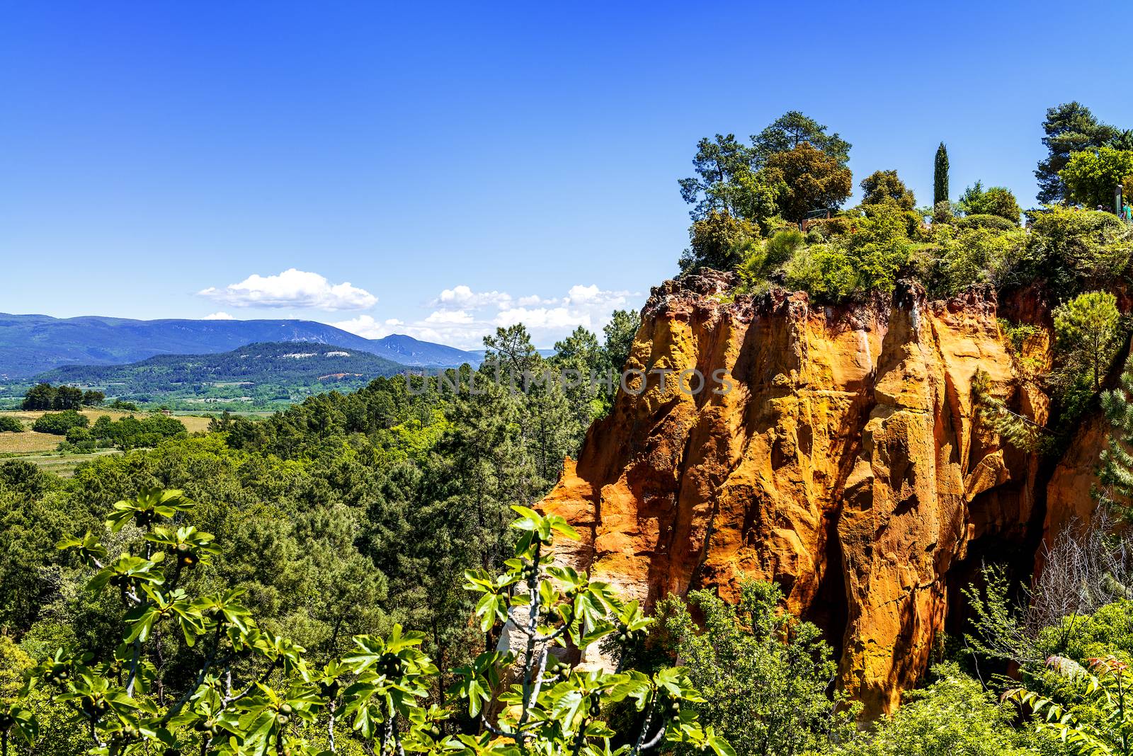 ochre cliffs near Roussillon, Provence, France by ventdusud