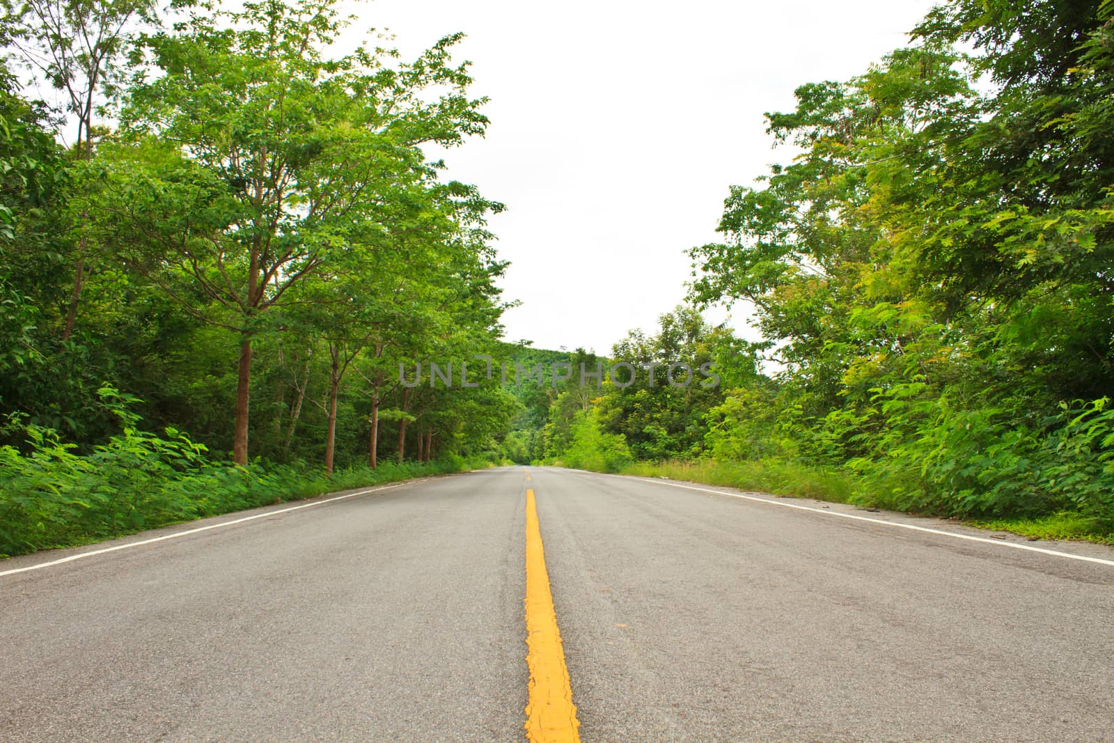 Forest road at Kaengkrachan National Park Thailand