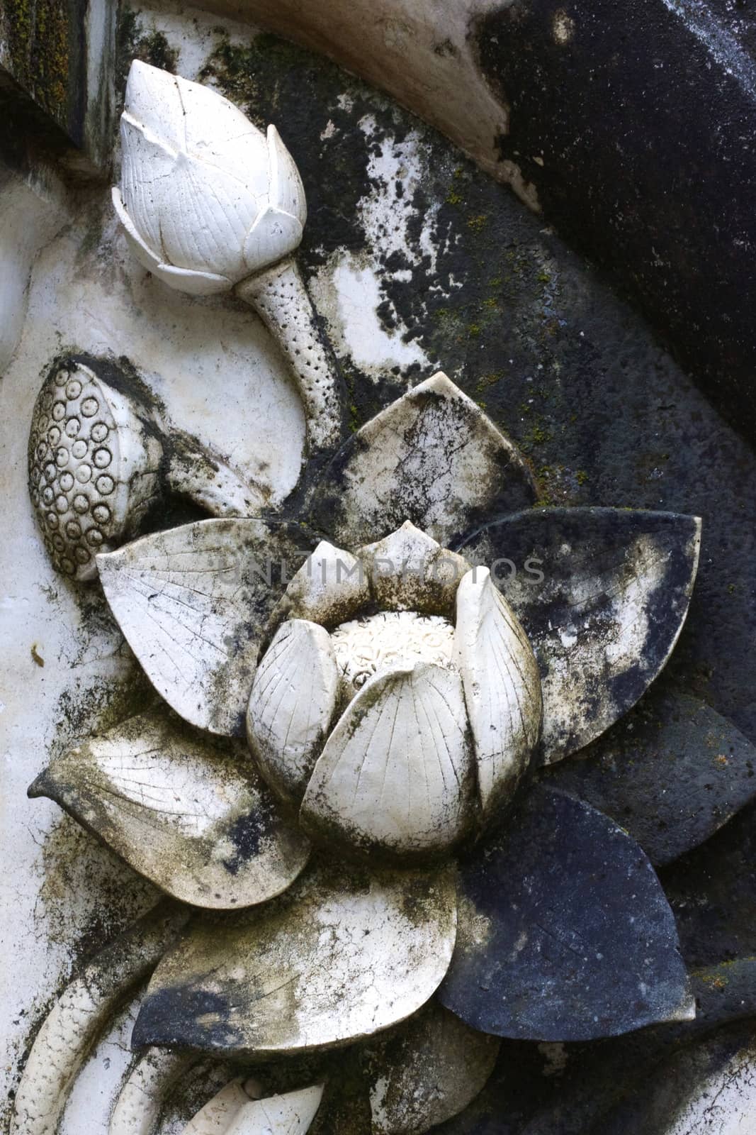 lotus figure in thai stucco art,Chiang rai temple,Thailand