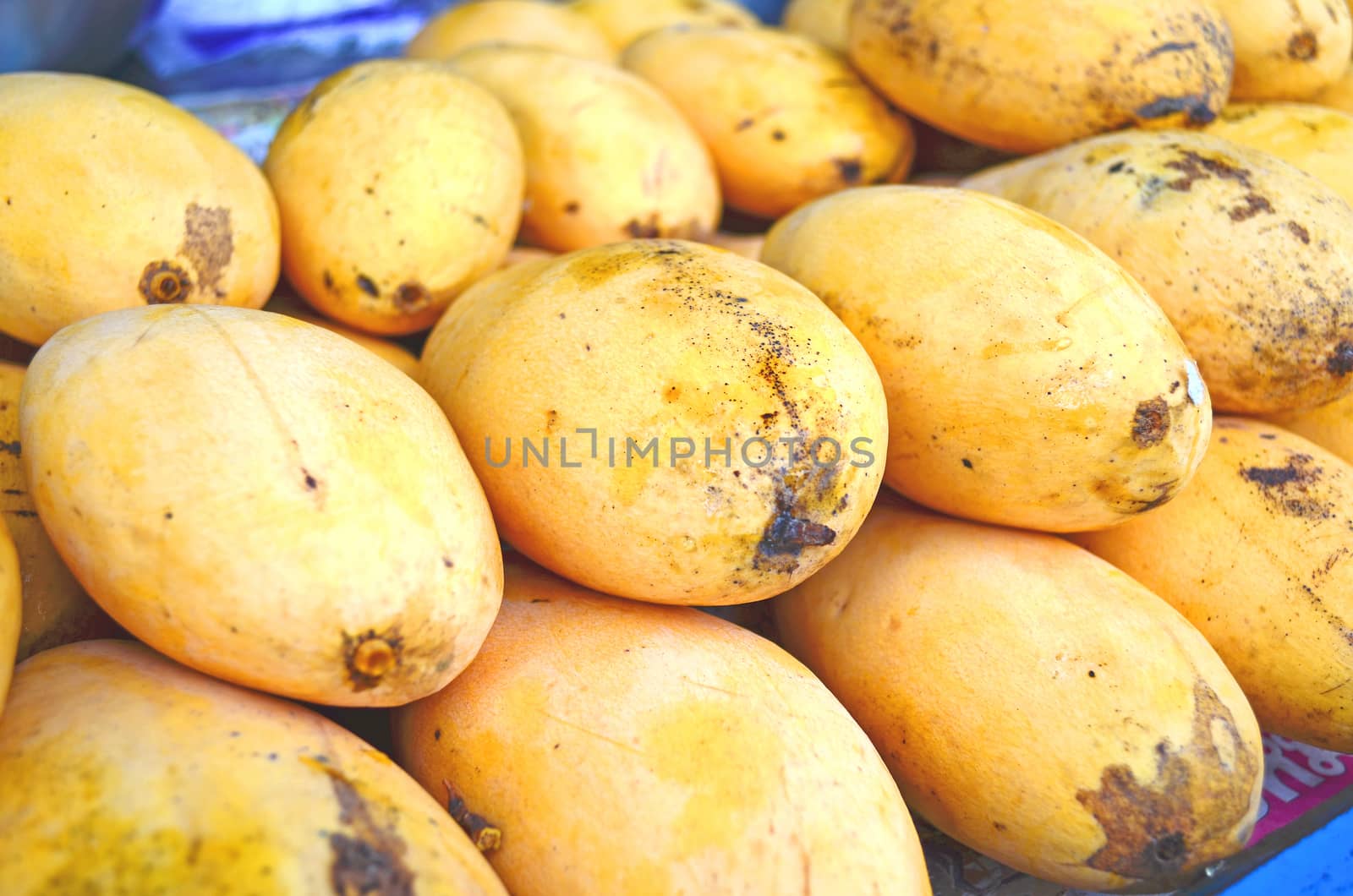 The mangos is a famous Thai sweet fruit.