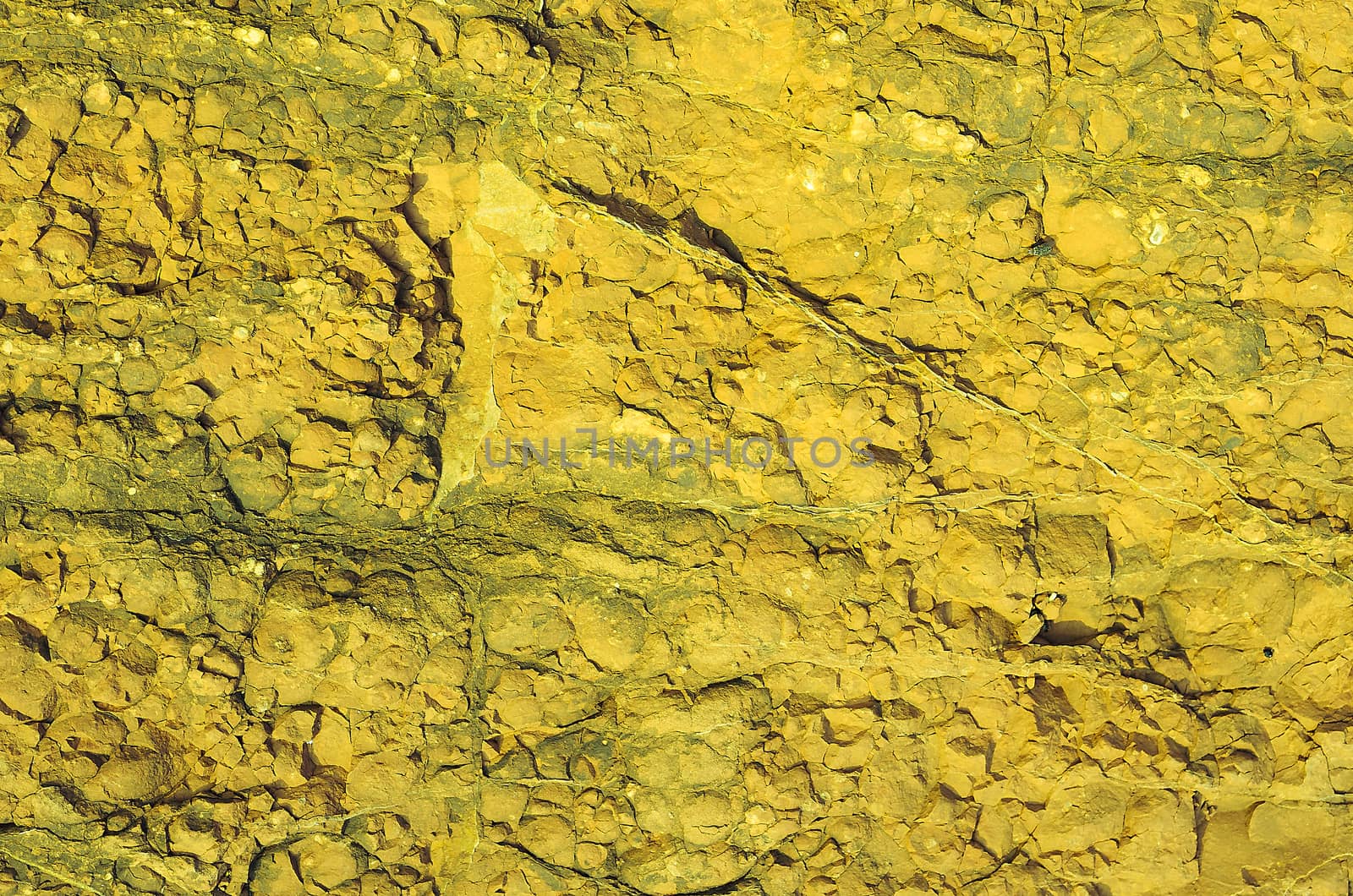 The rock in yellow face texture.