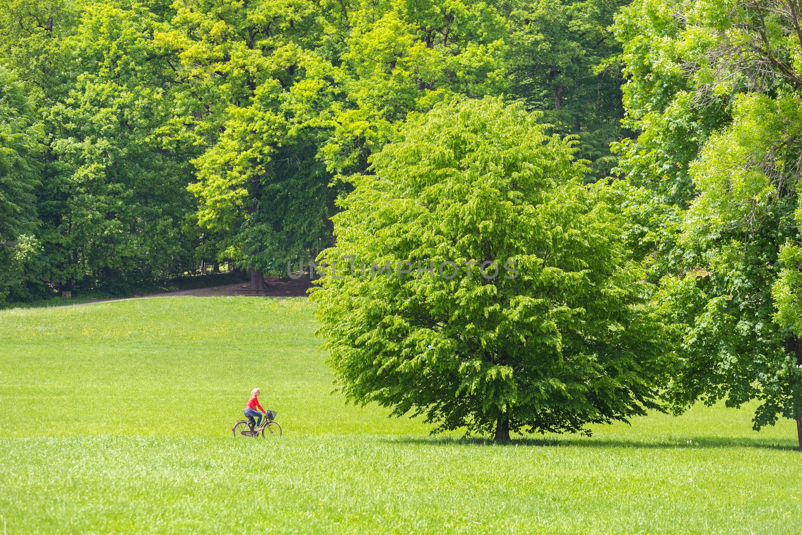 Young woman riding a bicycle. by kasto