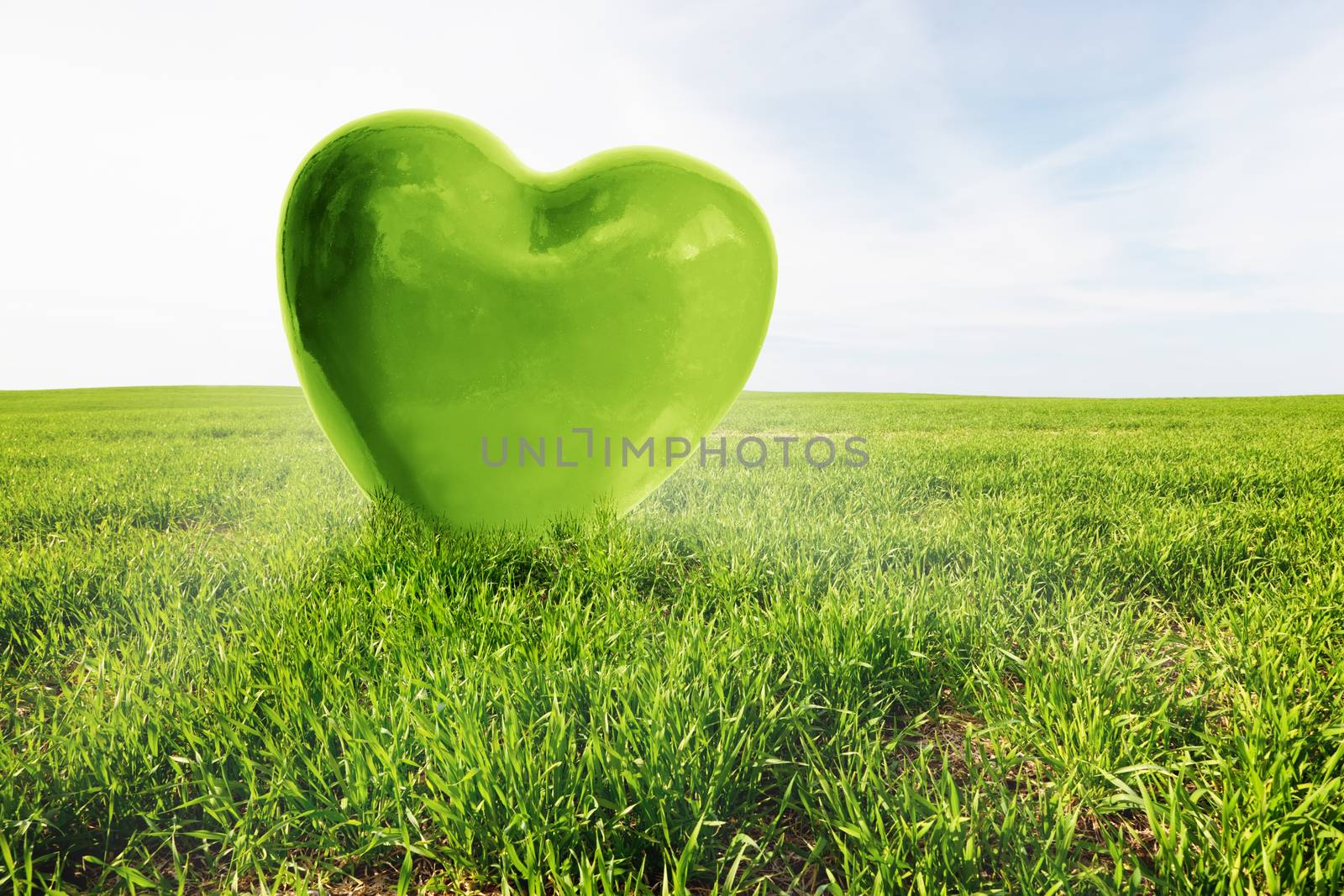 Green heart on the grassy field. Love, healthy environment, nature by photocreo