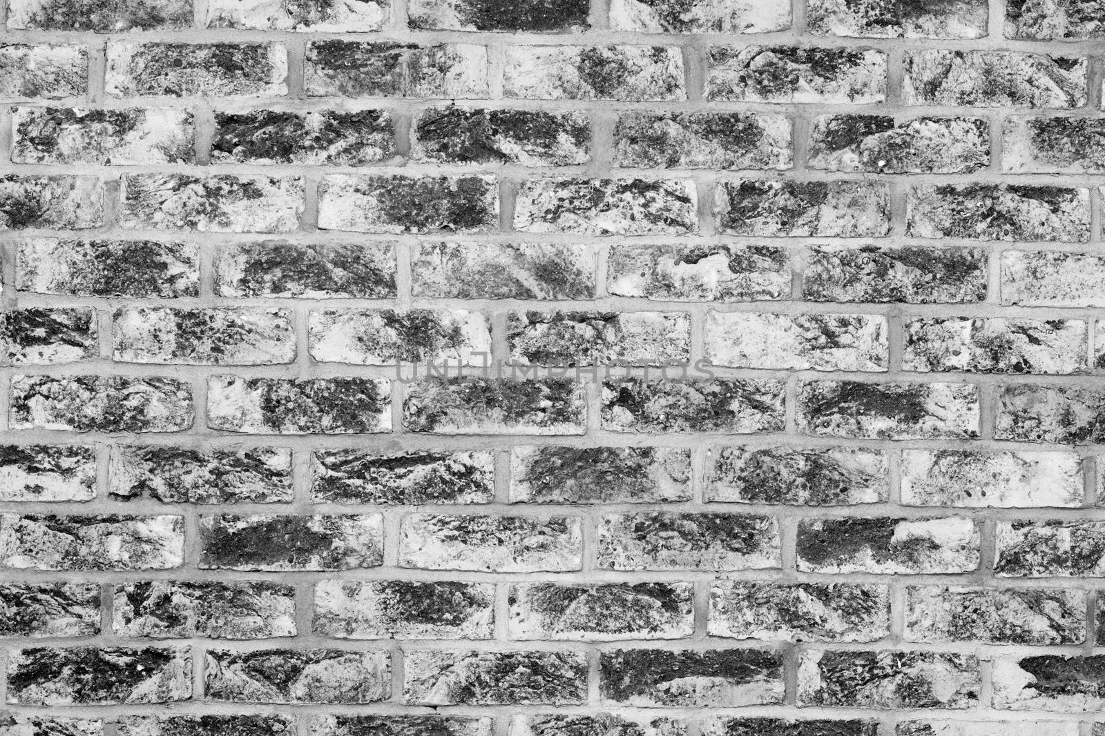 Old grunge brick wall background in black and white