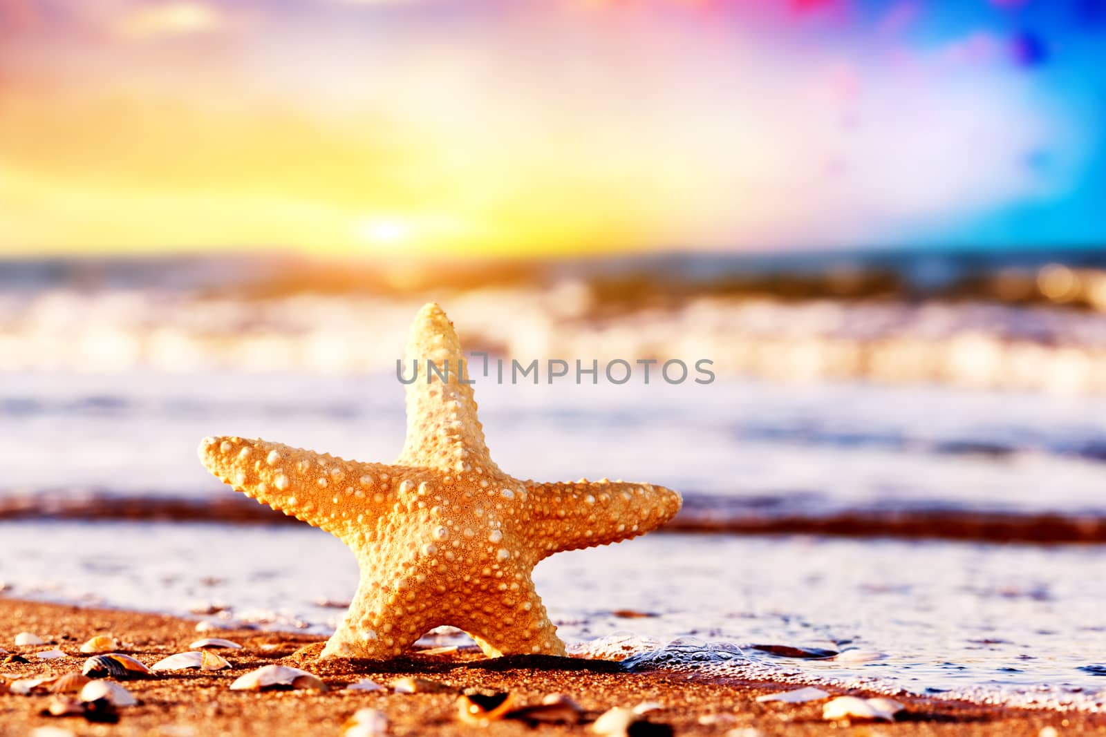 Starfish on the exotic beach at warm sunset, ocean waves. Travel, vacation, holidays concepts