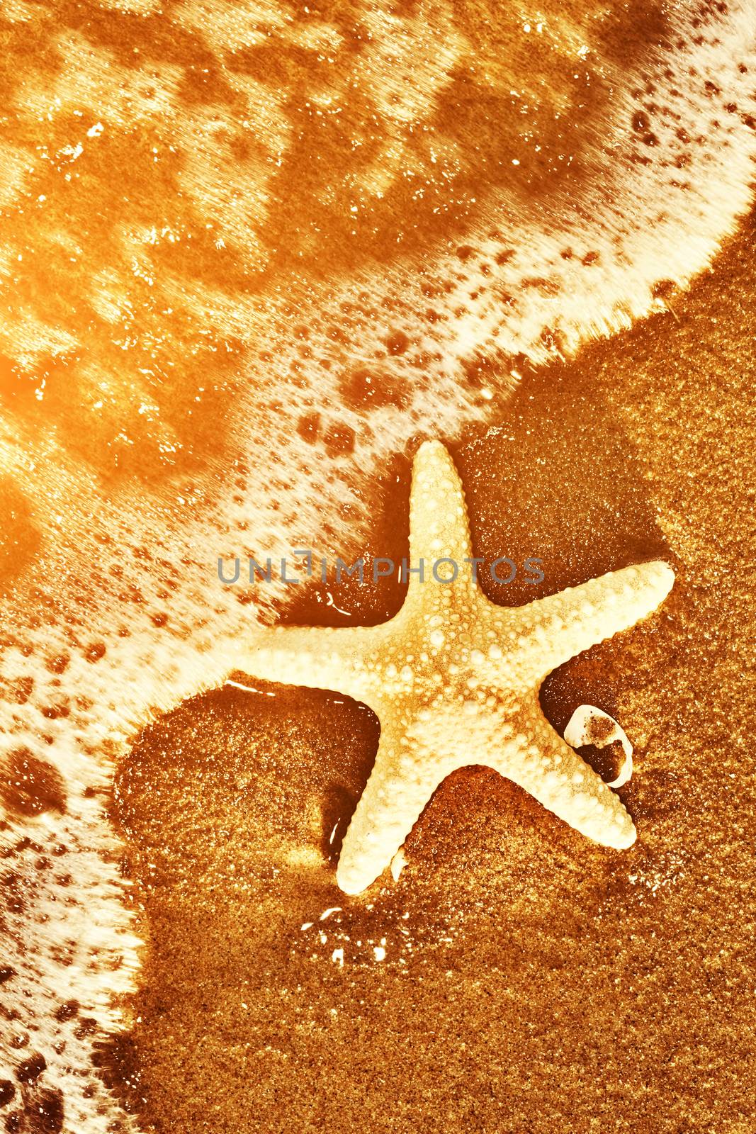 Starfish on the exotic beach, ocean waves at warm sunset. Travel, vacation, holidays concepts