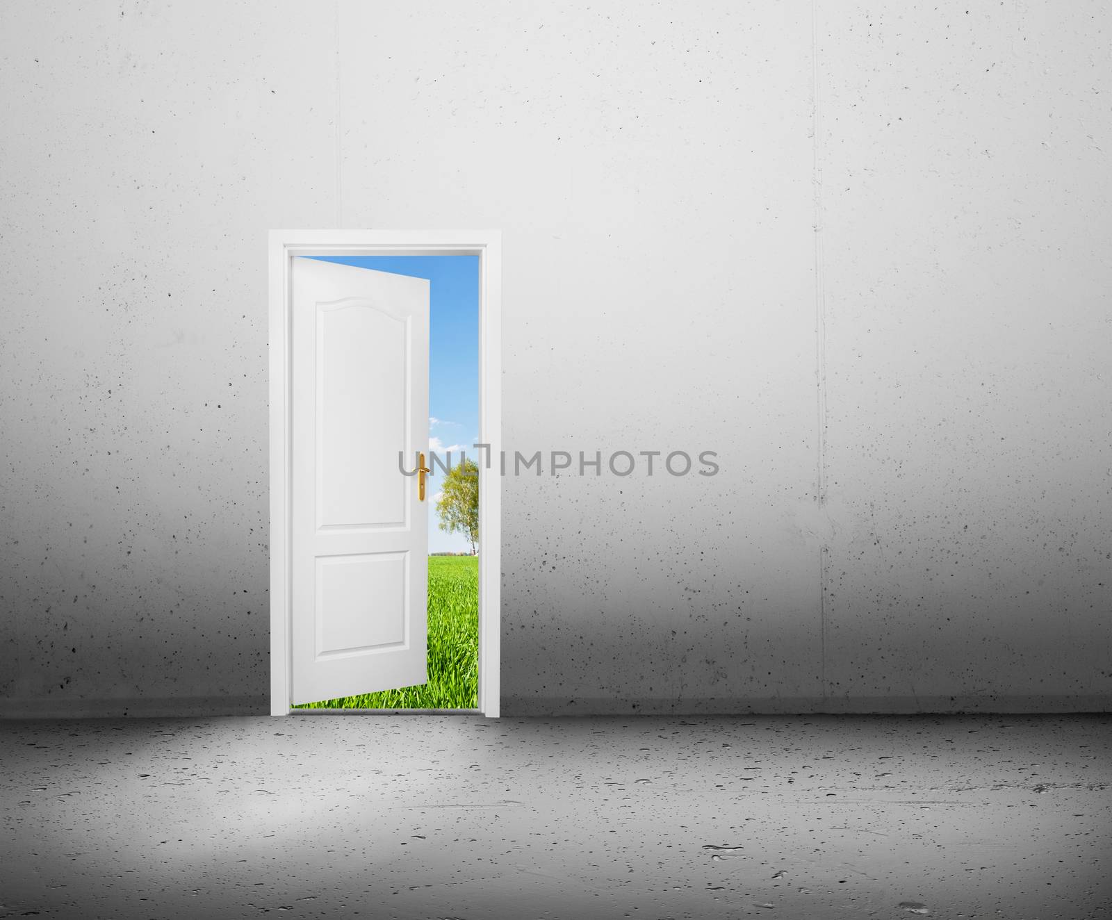 Open door to a new world, the green summer landscape. Conceptual by photocreo