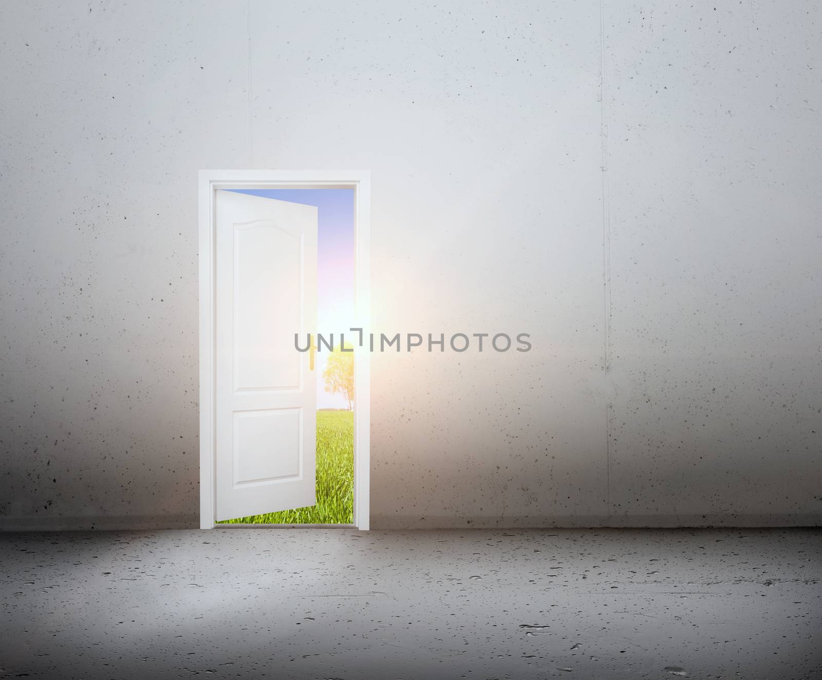 Open door to a new world, the green summer landscape. Conceptual by photocreo