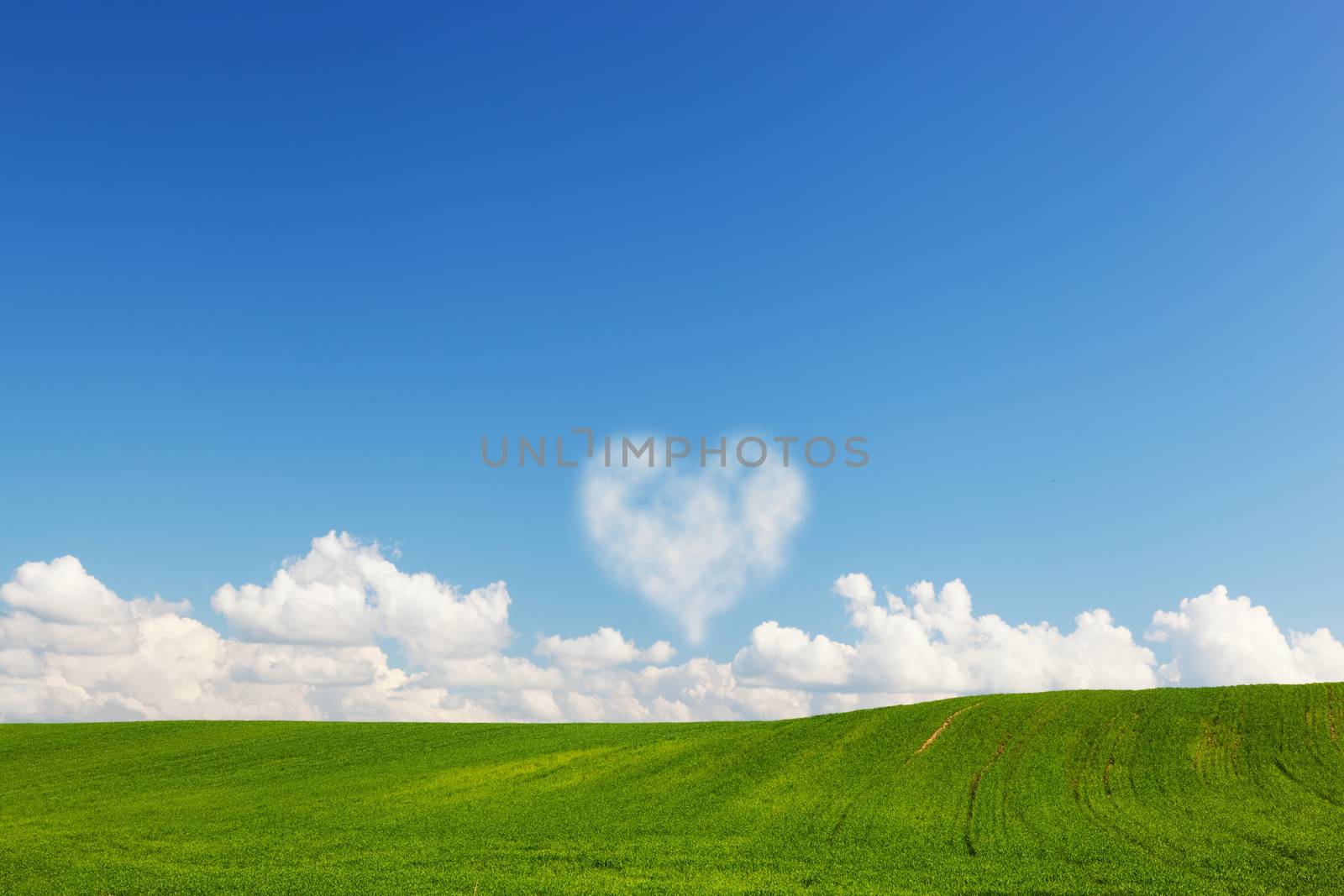 Heart shaped cloud above green summer field landscape. Love, Valentine's Day concepts