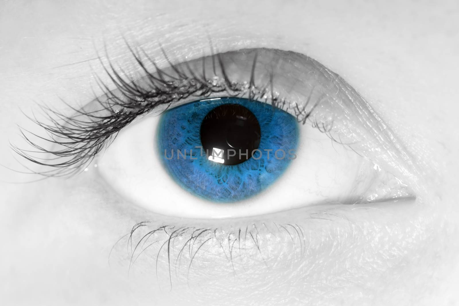 Female blue eye close-up by photocreo