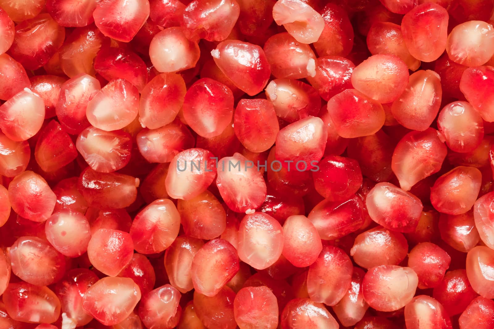 Pomegranate seeds. Close up background by photocreo