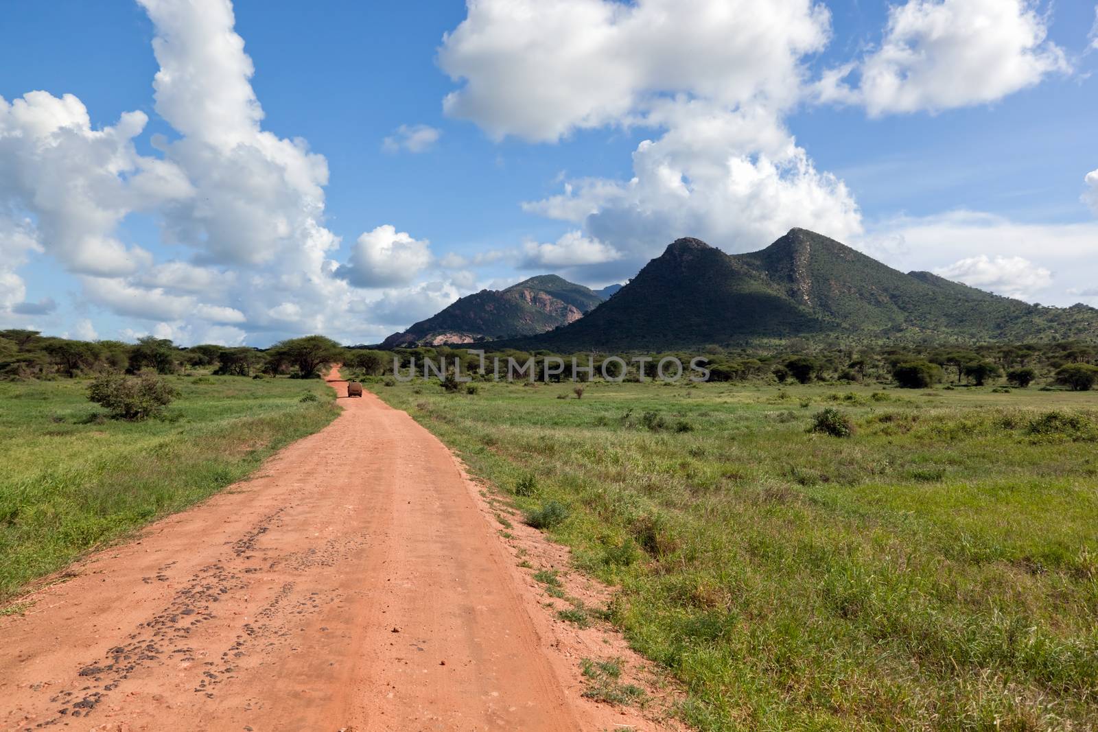 Red ground road and bush with savanna landscape in Africa. Tsavo West, Kenya.