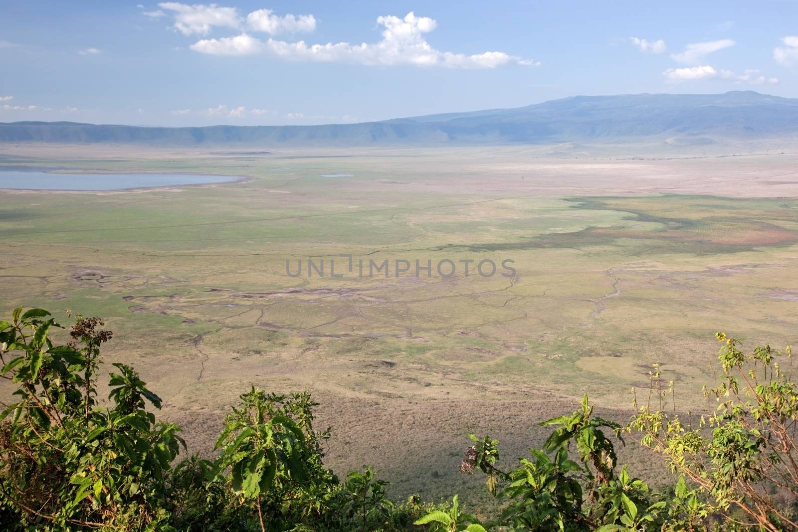 Ngorongoro crater in Tanzania, Africa. Panorama by photocreo