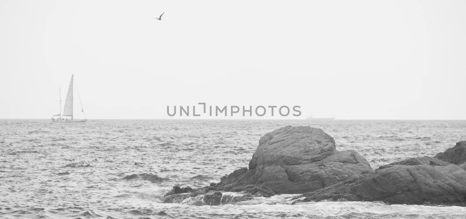 sea, rocks, and a sailboat, black and white photo, grain