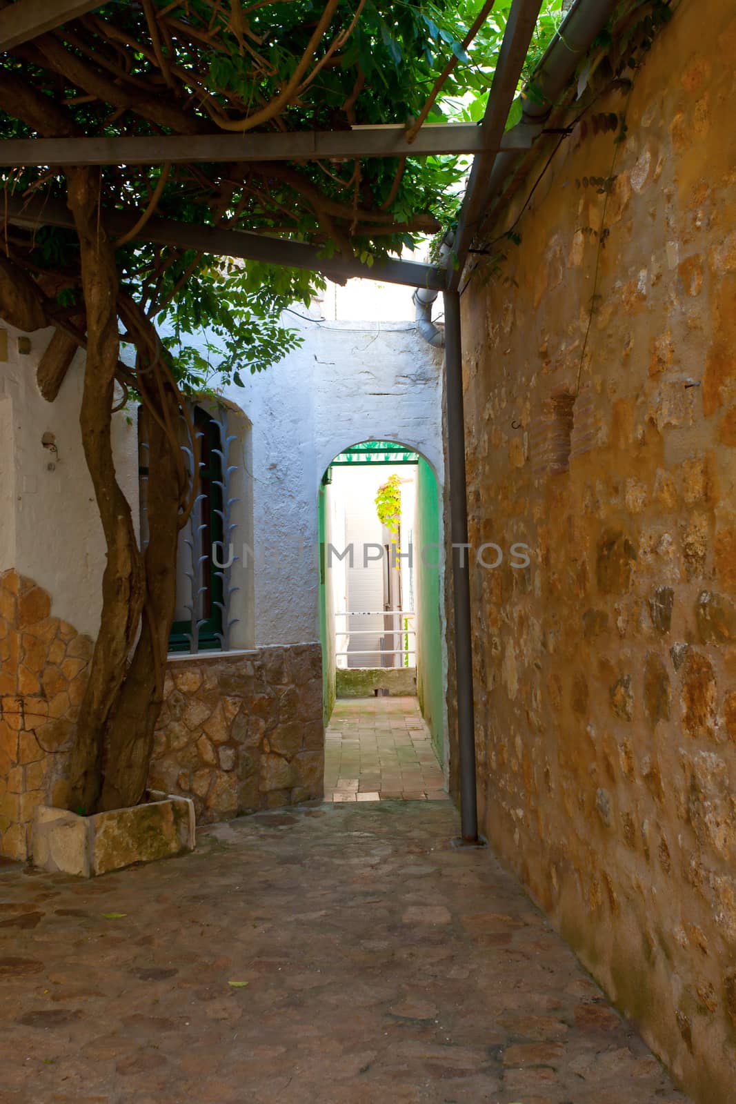 narrow ancient street with masonry and cobblestone pavement in the shade of a tree, Spain, Catalonia, Tossa de Mar