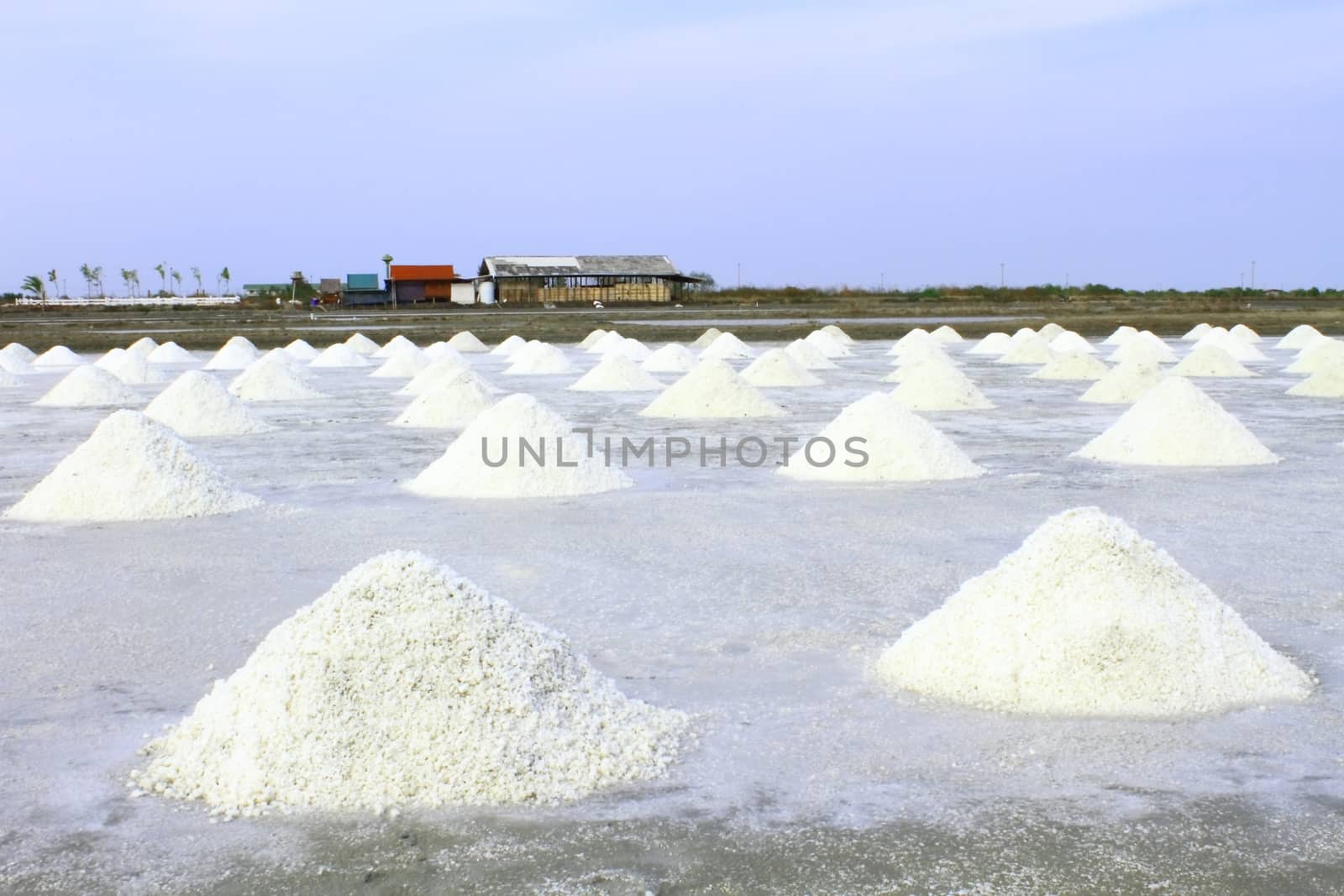 Salt Field, Thailand