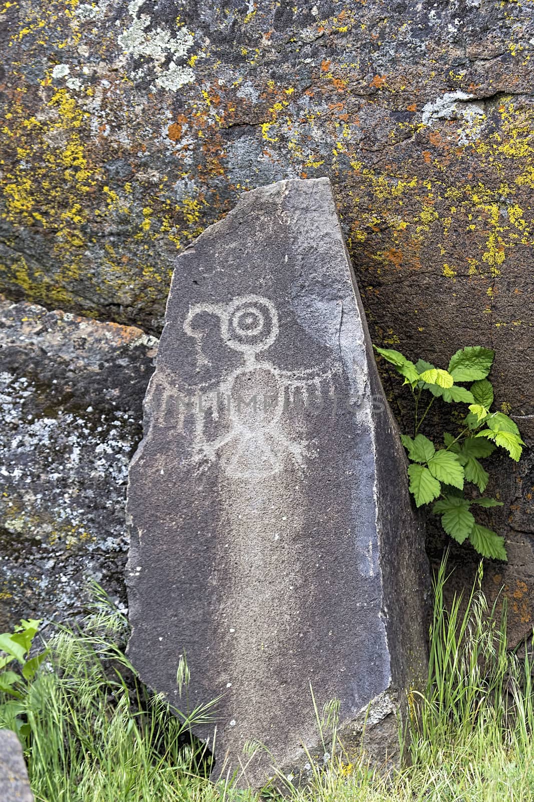 Native Anerican Indians Thuunderbird Petrogylph on Rock Artwork at Horsethief Lake Washington