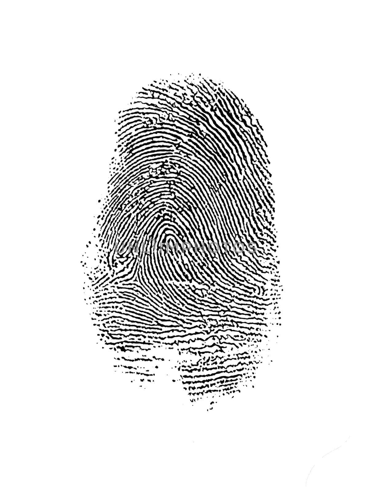 Thumb Print over White