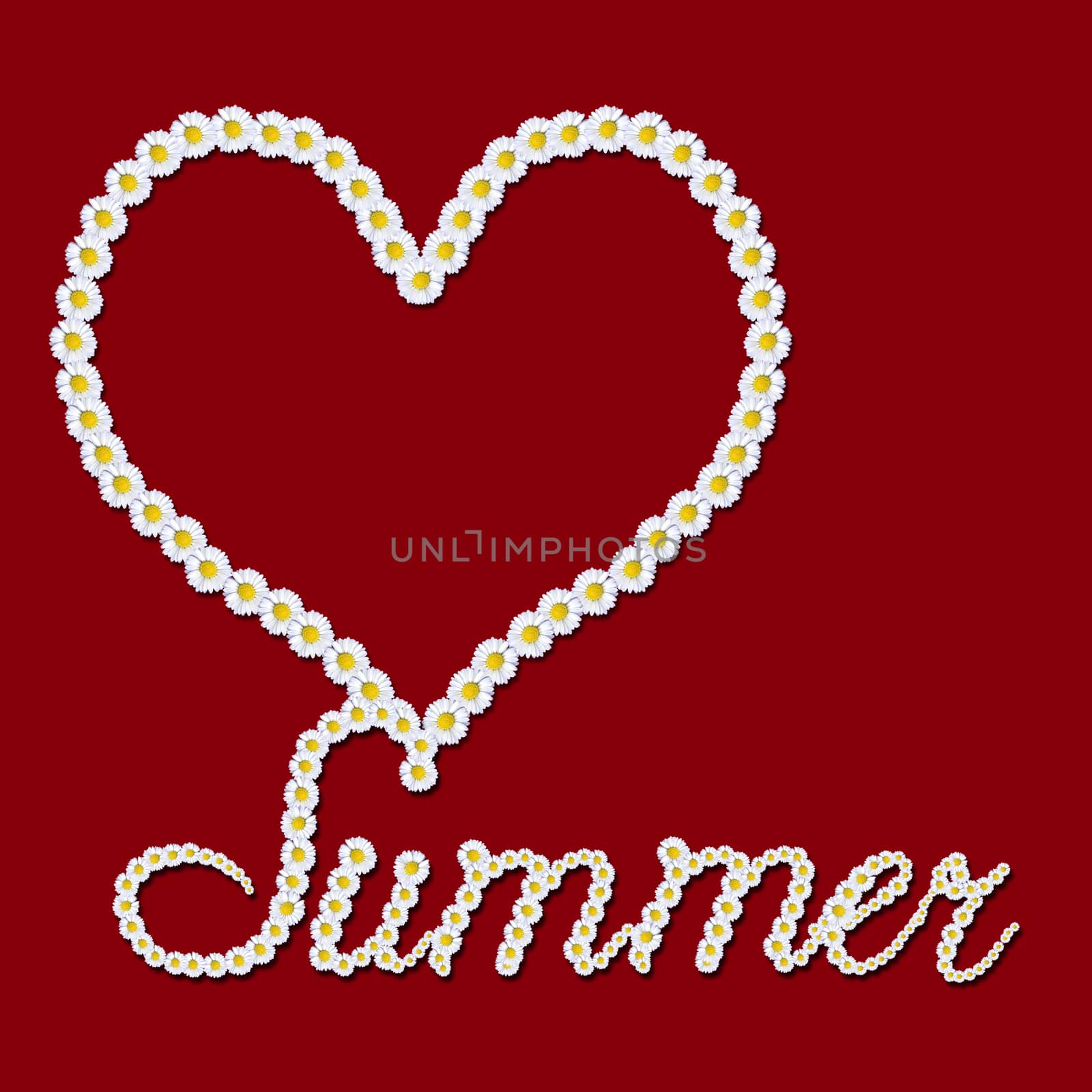 Summer  background, heart and text made with daisies on red background with copy space for text or photos