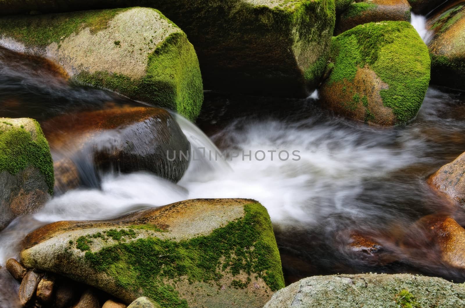 Detail of small waterfall on mossy rock.