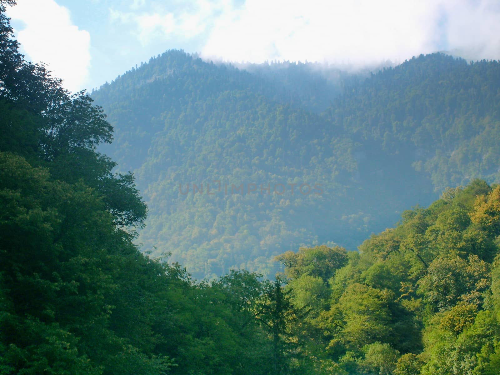 The high mountains of the Caucasus covered with the wood, with tops to clouds, are located in Abkhazia.