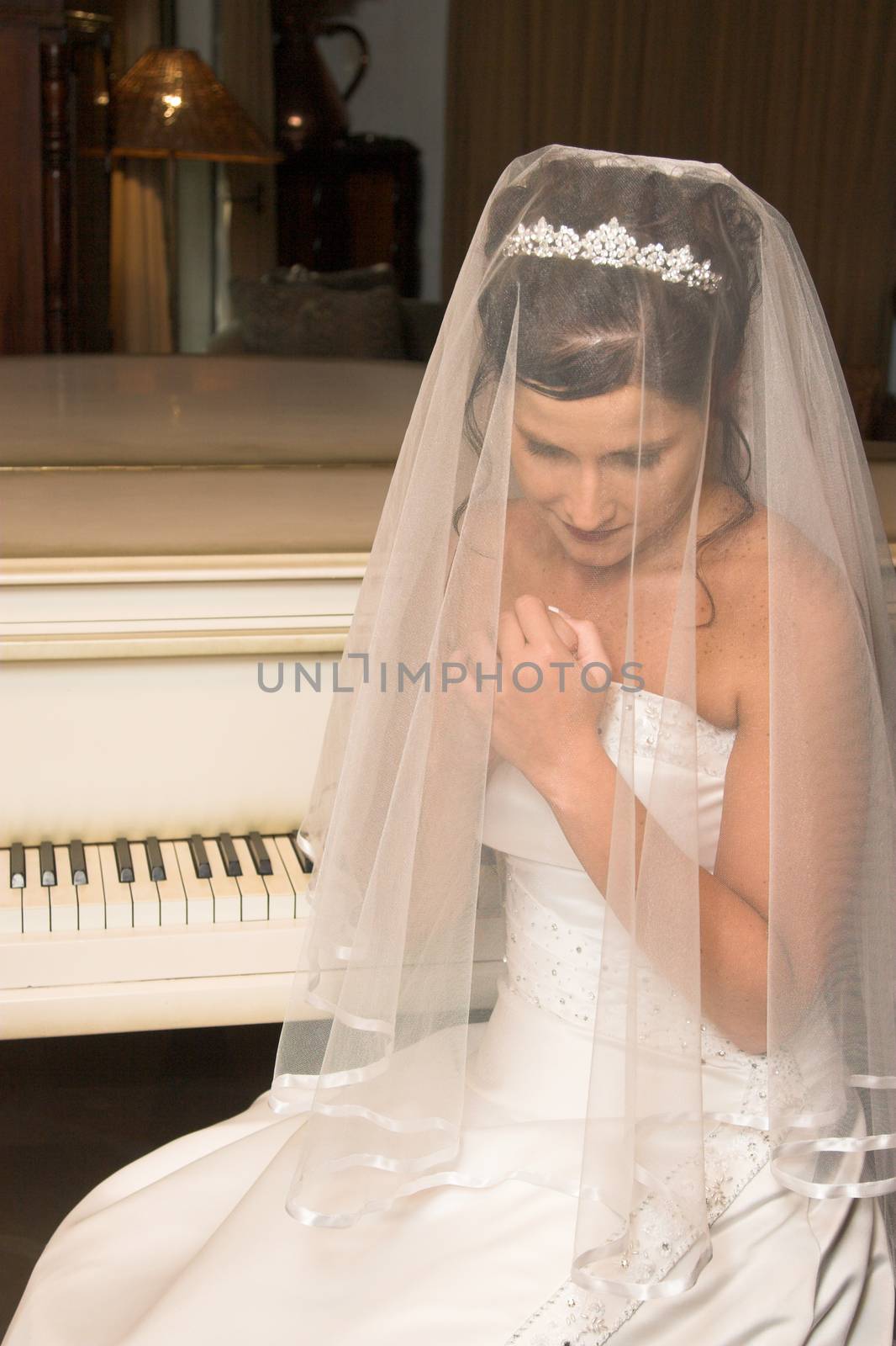 Beautiful brunette bride wearing a diamond tiara