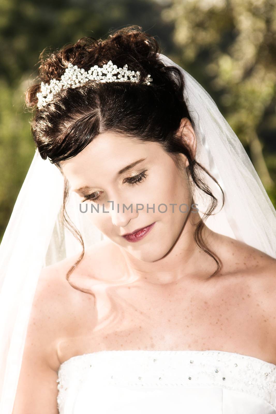 Beautiful brunette bride wearing a diamond tiara