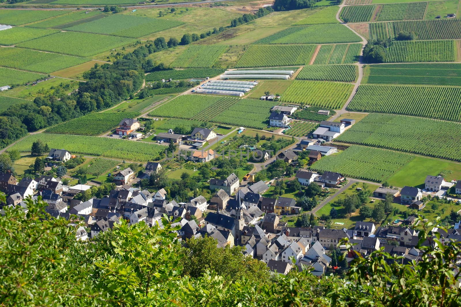 Lösnich on the Moselle from above