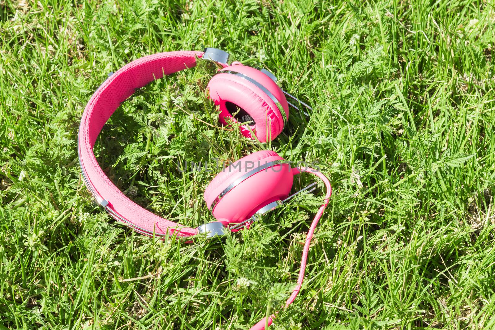 Bright colored lilac headphones on the natural green sward background