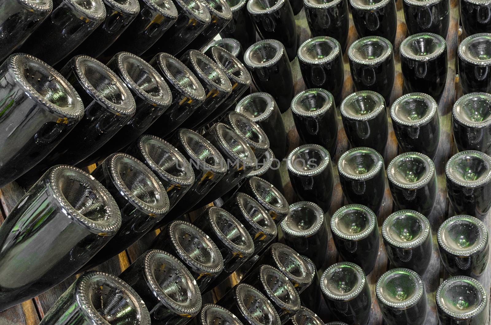 Rack stand with dusty bottles of old vintage sparkling wine