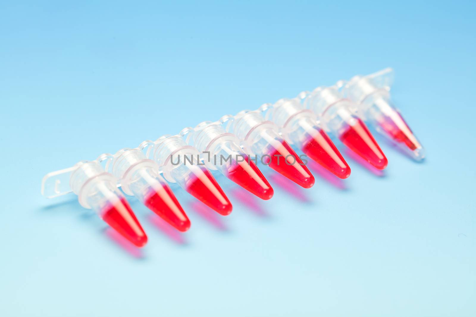 Microtubes with biological samples in criminalistic laboratory for DNA analysis