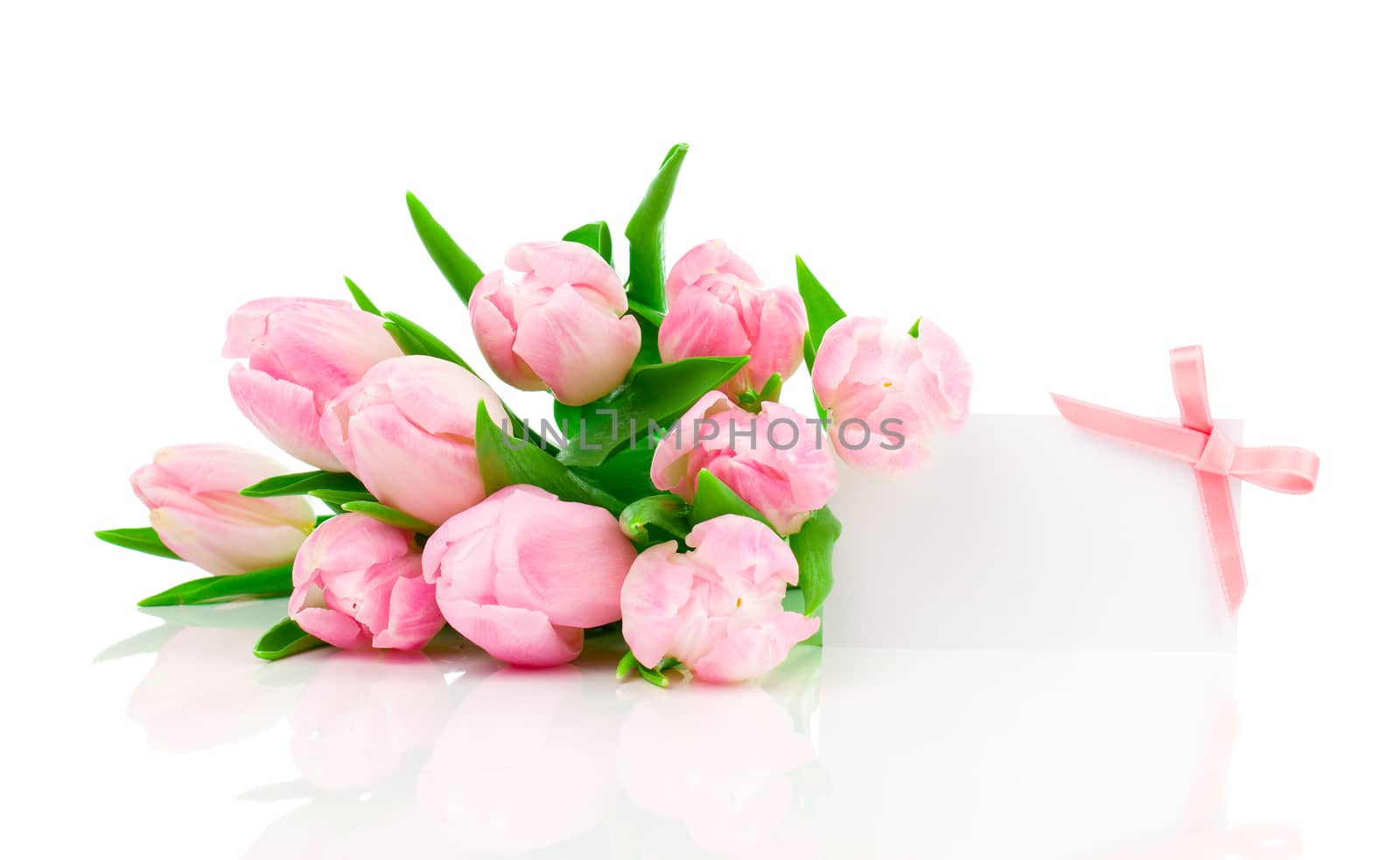 beautiful tulips with with blank for text on a white background. happy mothers day, romantic still life, fresh flowers