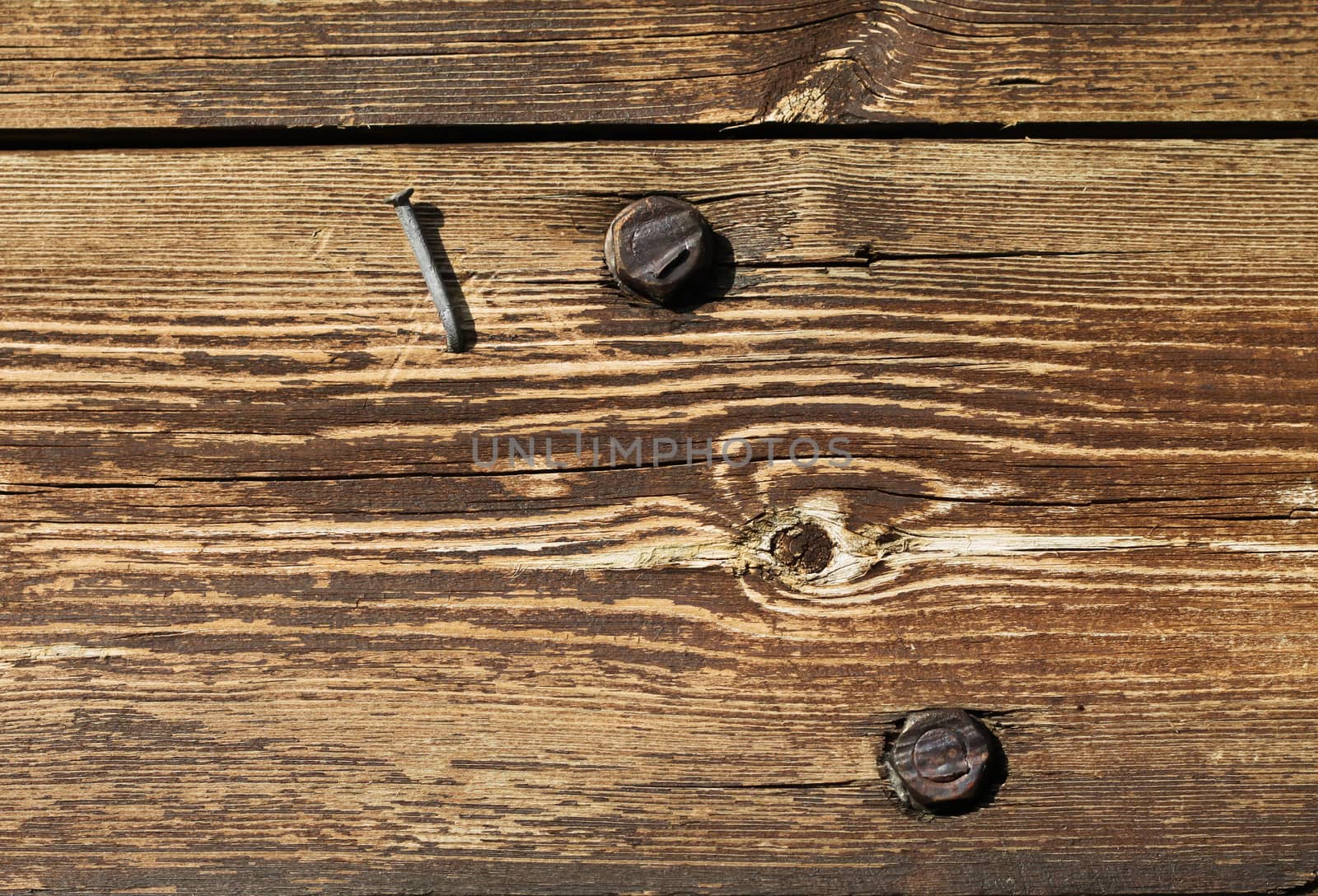 Old wood surface texture with nail and bolts