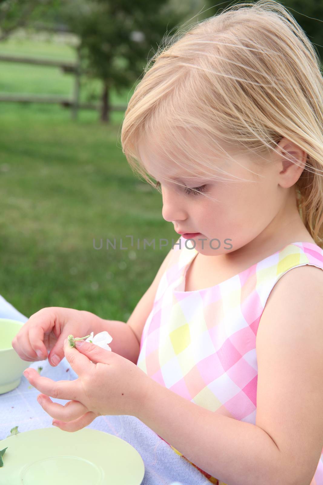 Little blond girl playing with apple blossoms