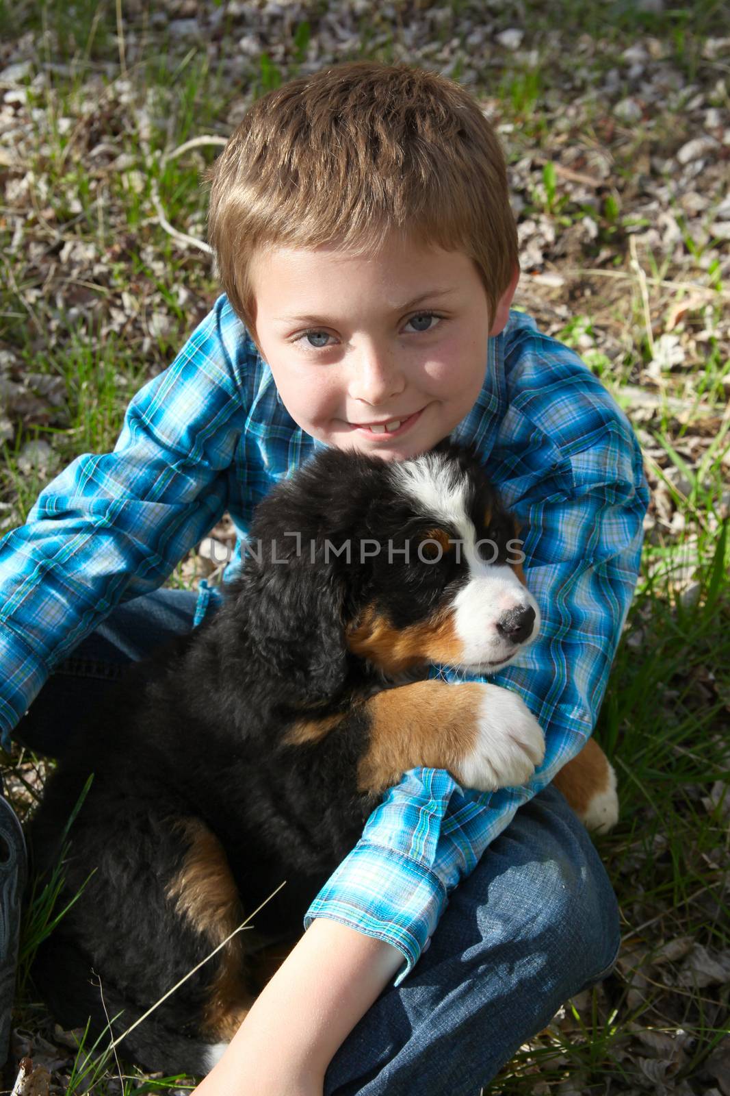 Young boy with his Bernese Mountain Dog puppy