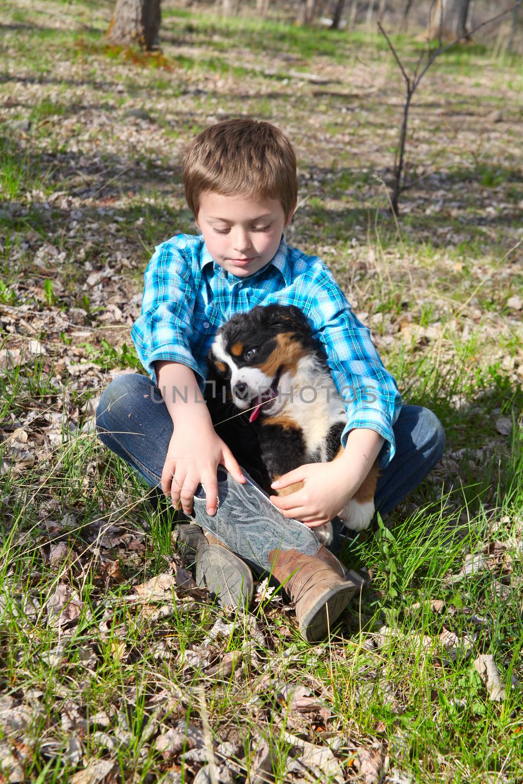 Young boy with his Bernese Mountain Dog puppy