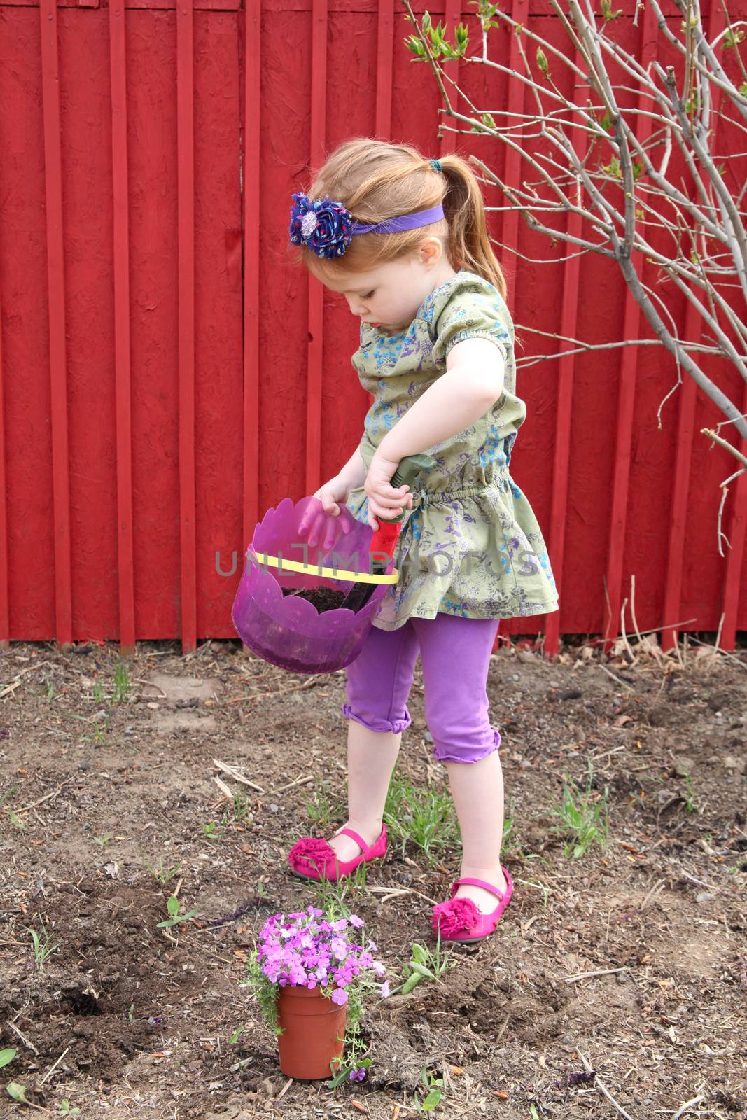 Little girl planting flowers in spring weather