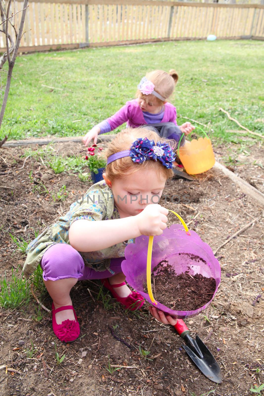 Two sisters planting new flowers in the garden