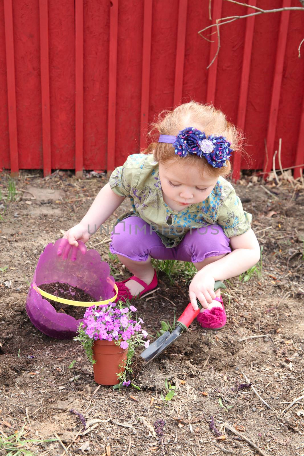 Little girl planting flowers in spring weather