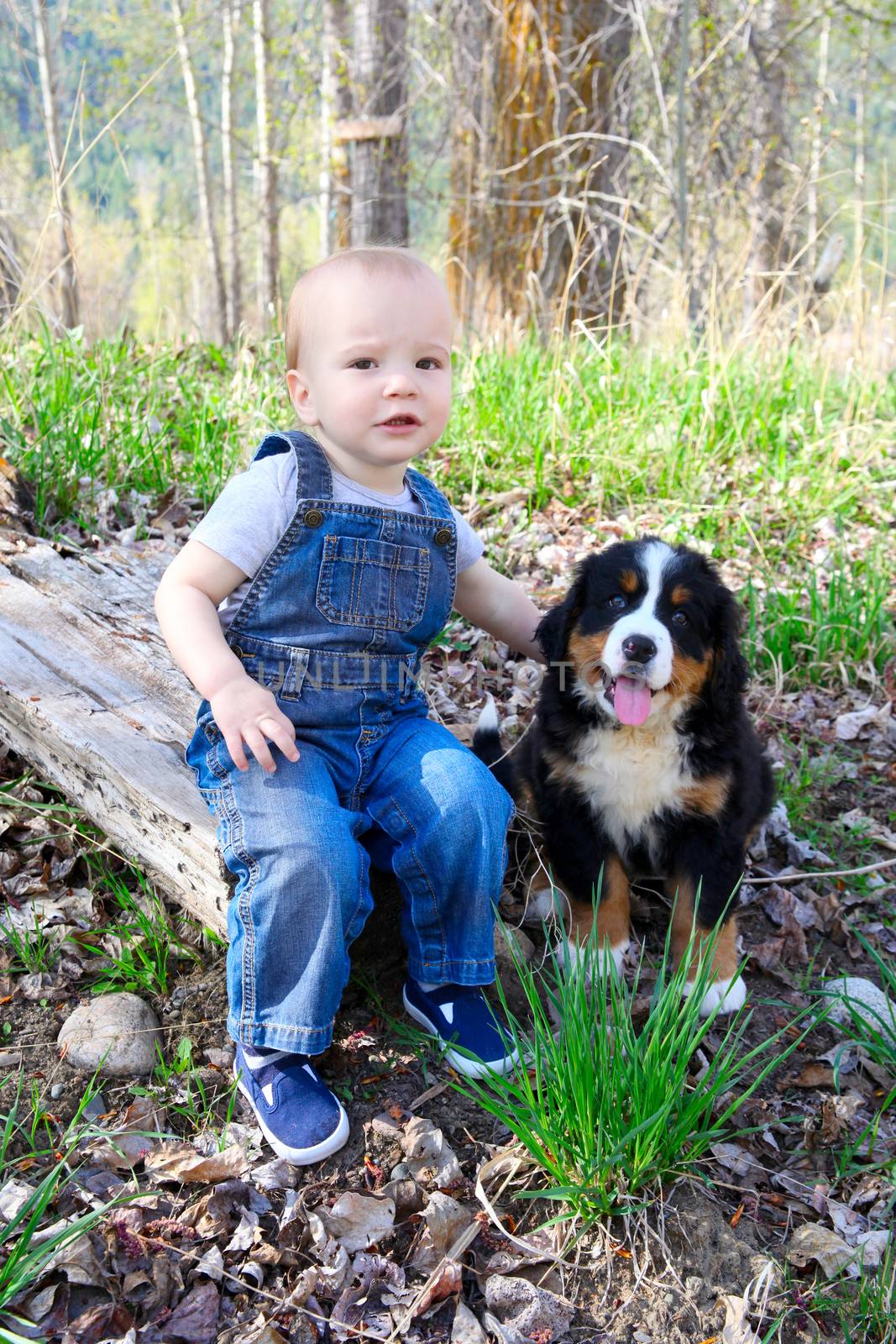 Toddler in denim overall playing with his puppy
