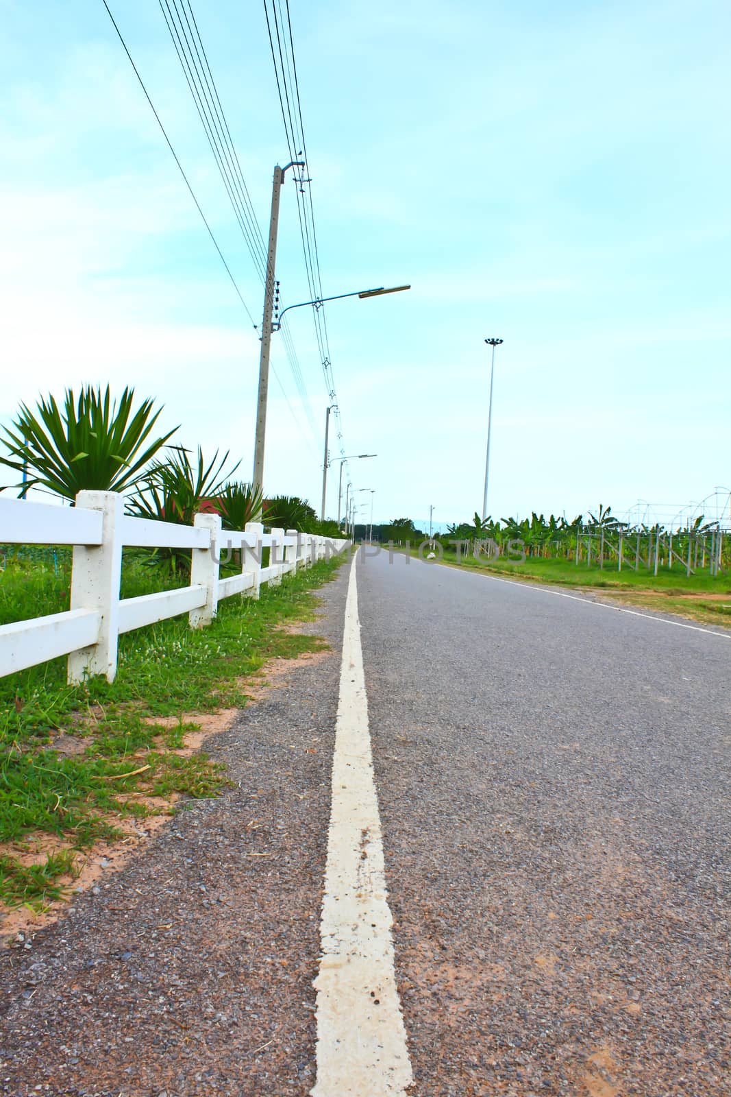 Long  private, country road along a white picket fence